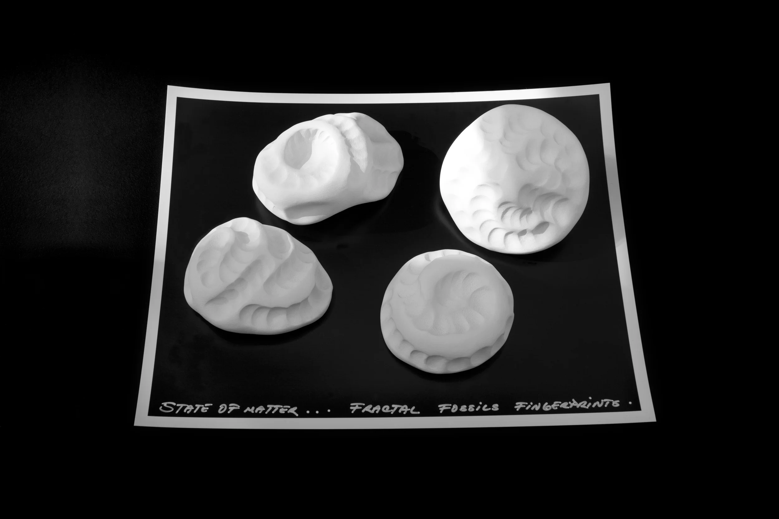Fossil Fractal Fingerprints (Touch Series) . 2014. Porcelain, photographic paper. 