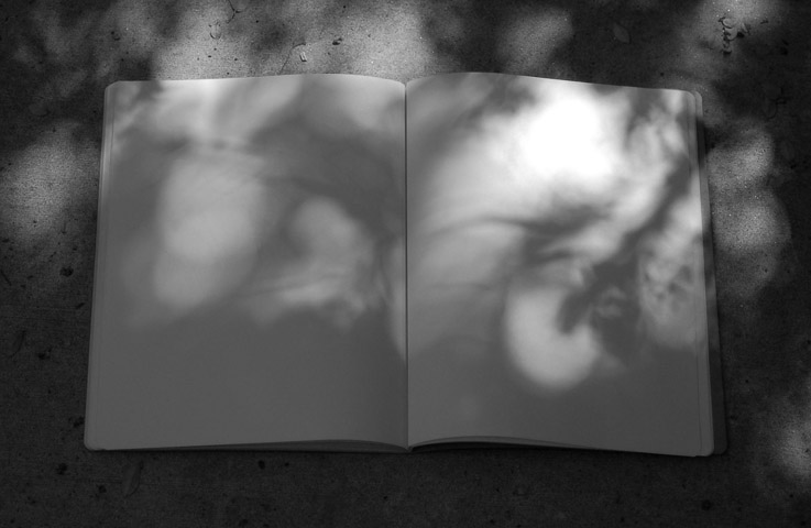AUTUMN NOTEBOOK 2011