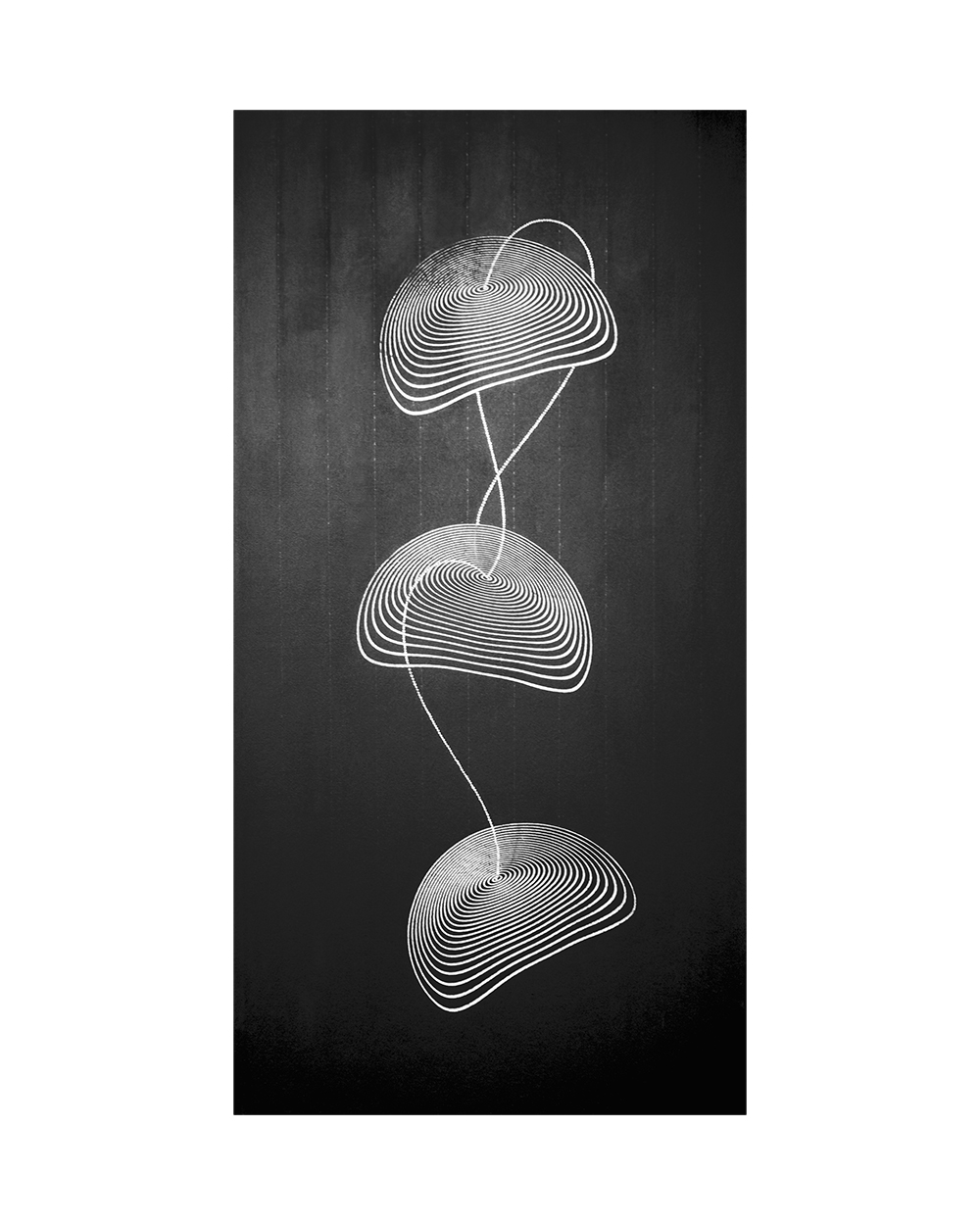 CC #22 / Concentric Circles. 2013. Mixed media on canvas. 24 x 48 in