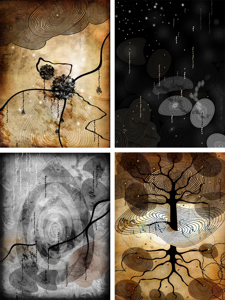 VISUAL EQUATIONS / Concentric Circles. 2008. Mixed media. Dimensions variable.