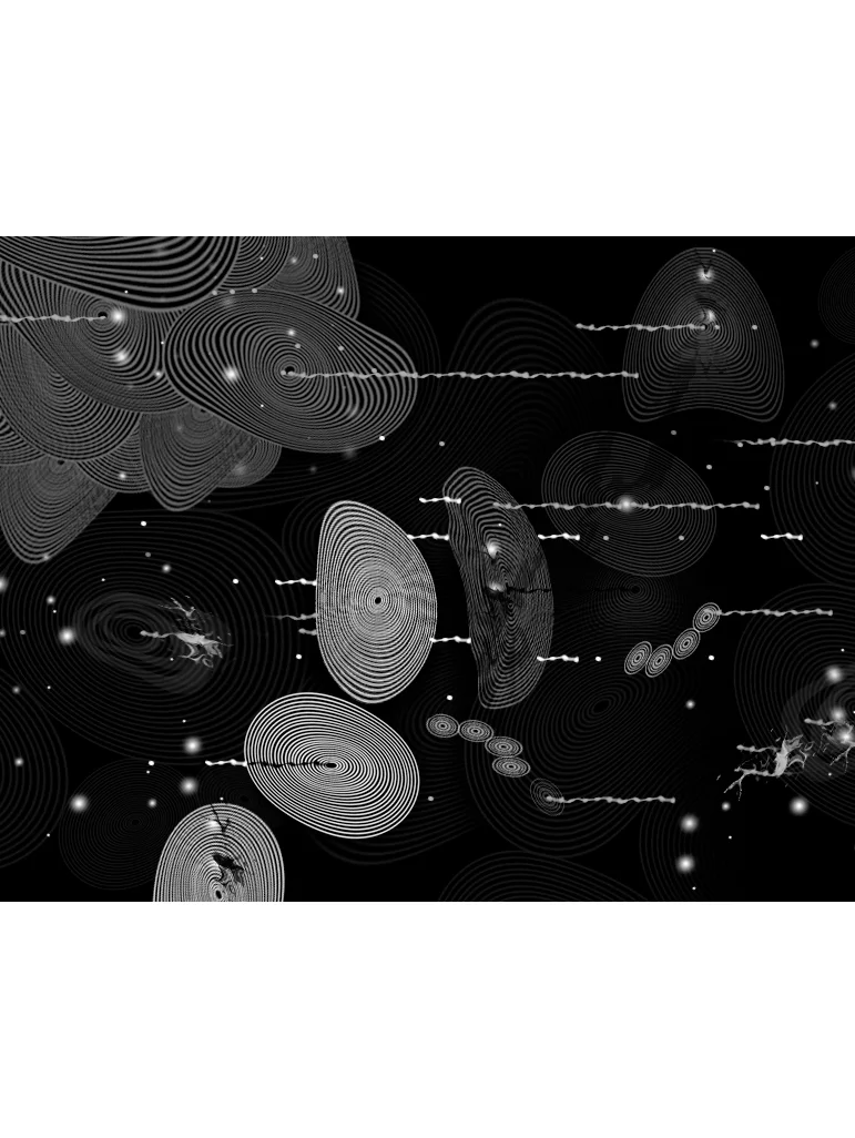 VISUAL EQUATIONS / Concentric Circles. 2009. Mixed media. Dimensions variable.