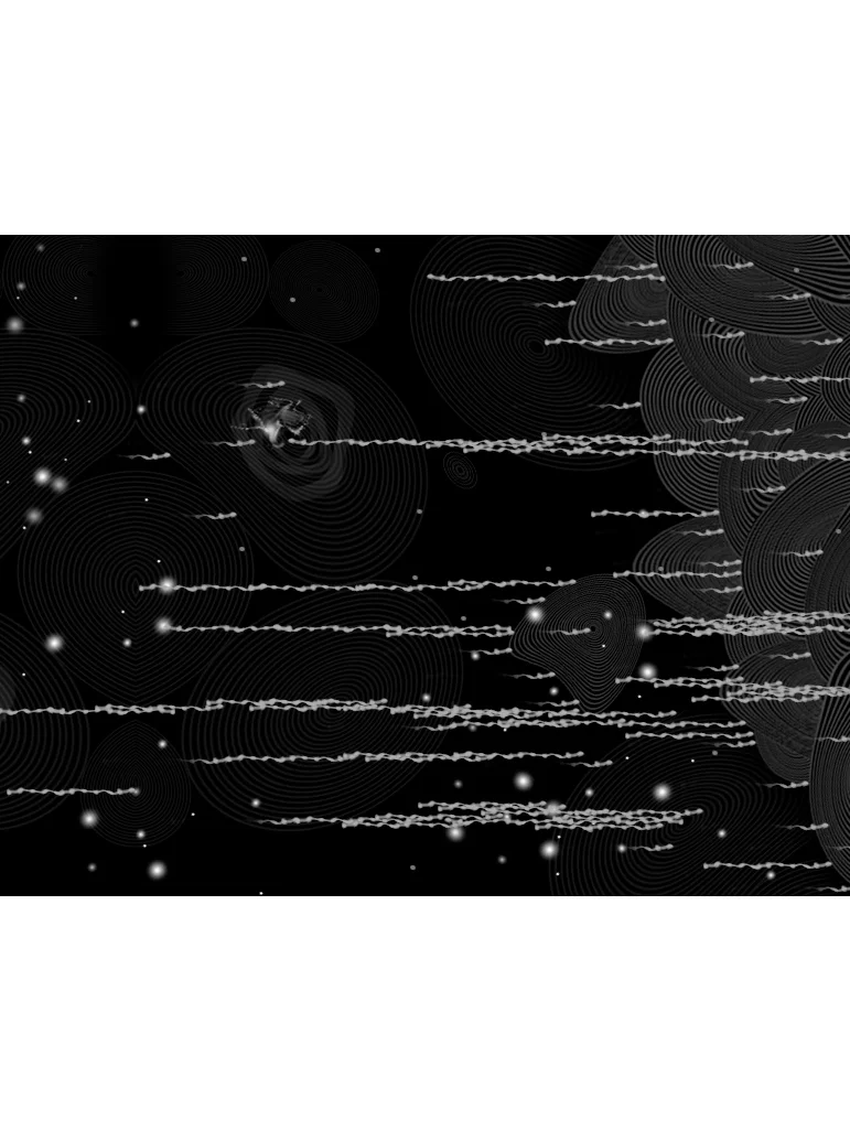 VISUAL EQUATIONS / Concentric Circles. 2009. Mixed media. Dimensions variable.