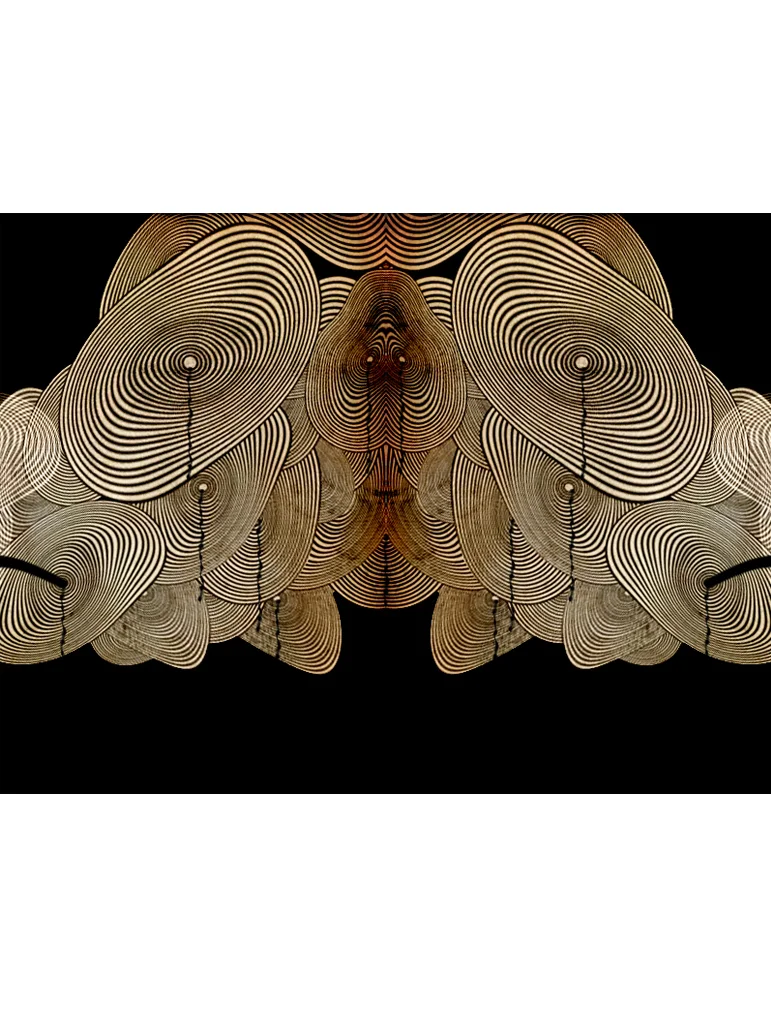 VISUAL EQUATIONS / Concentric Circles. 2008. Mixed media. Dimensions variable.