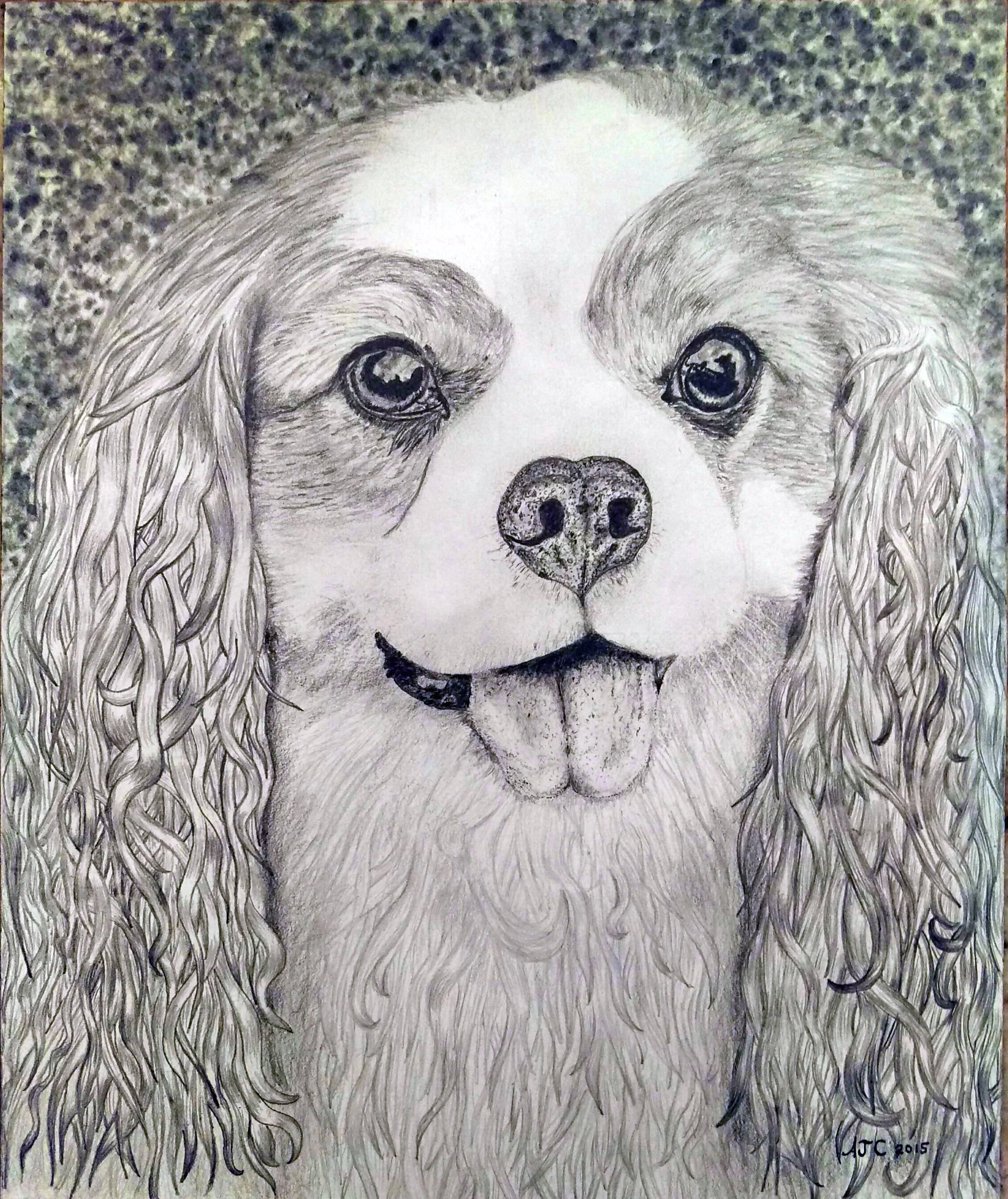 Seymour, graphite 10" x 14" Smooth Bristol 