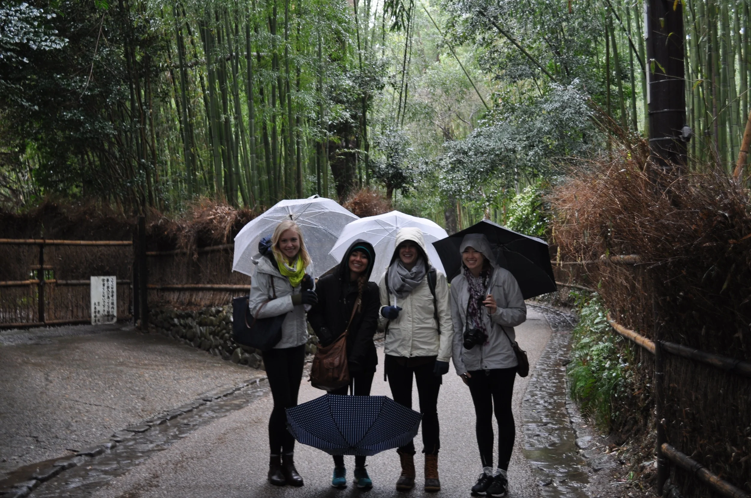 The Bamboo Forest, Kyoto