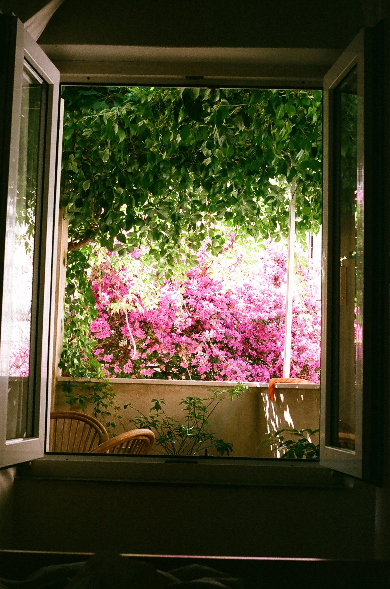 Our morning view to the flowery porch outside our window