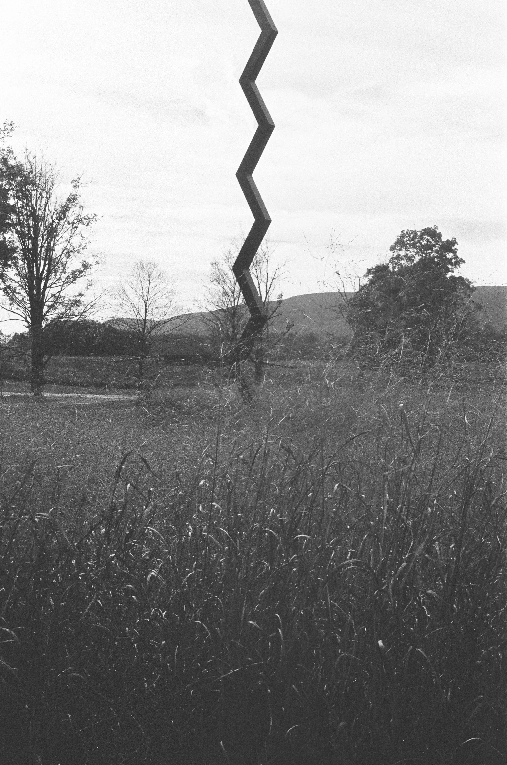 000042020016.jpg