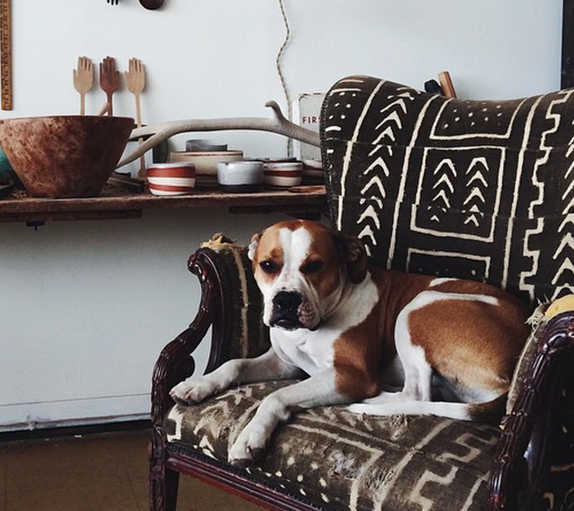  This is Mazie. She was there too! Photograph by Ariel Alasko