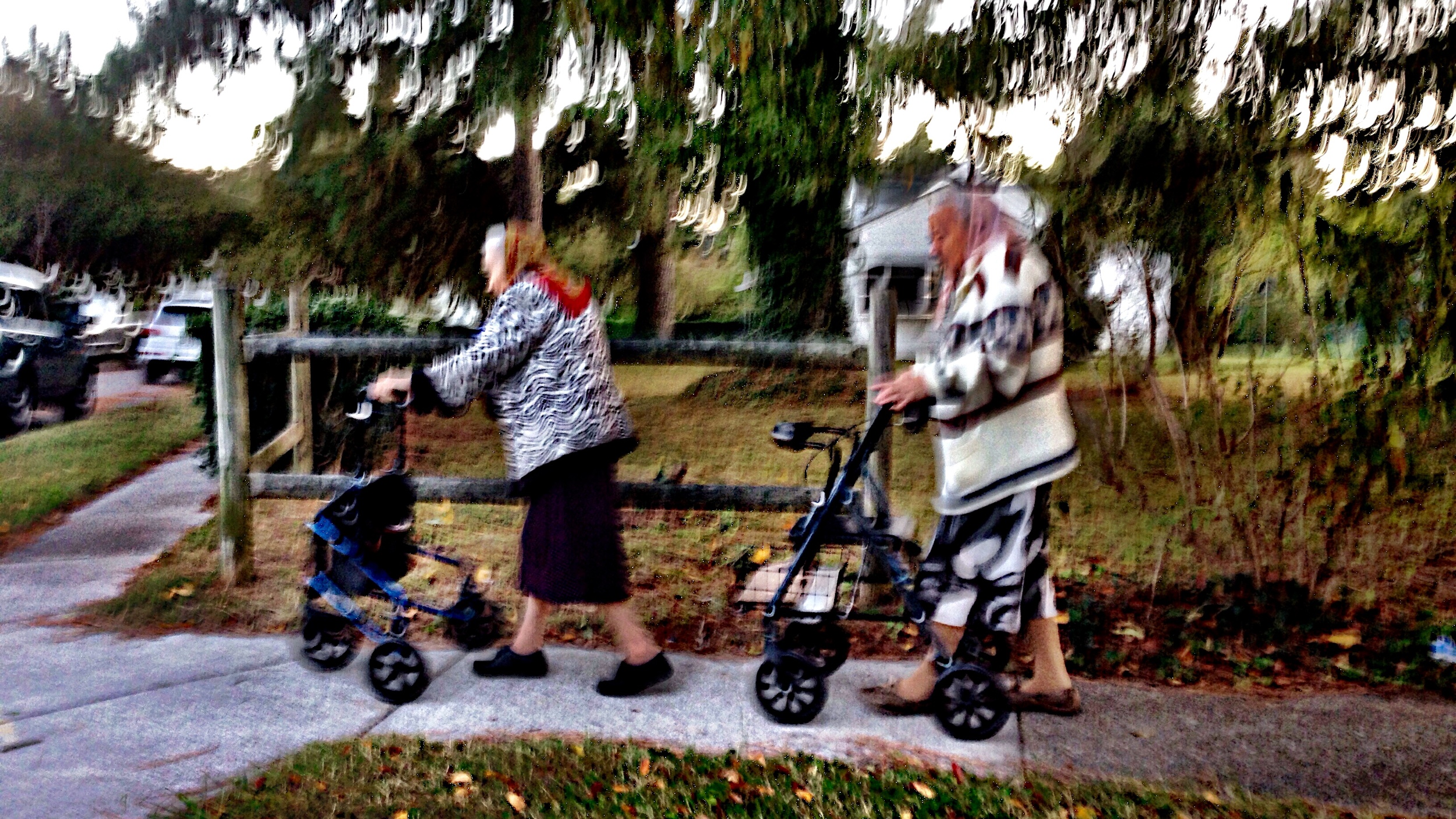 I spotted the Suburban Parkway ladies. Again.