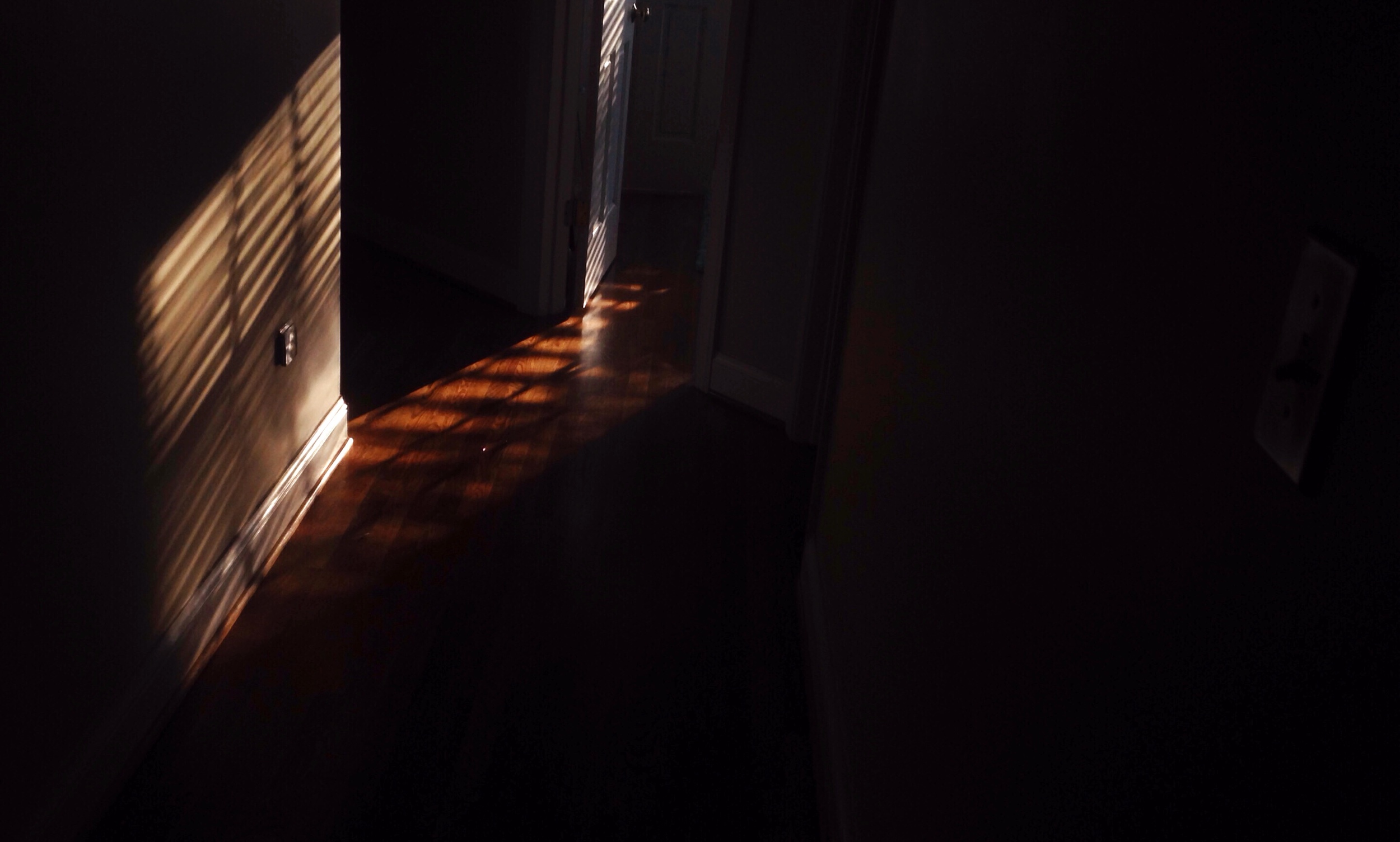 That sweet morning light...