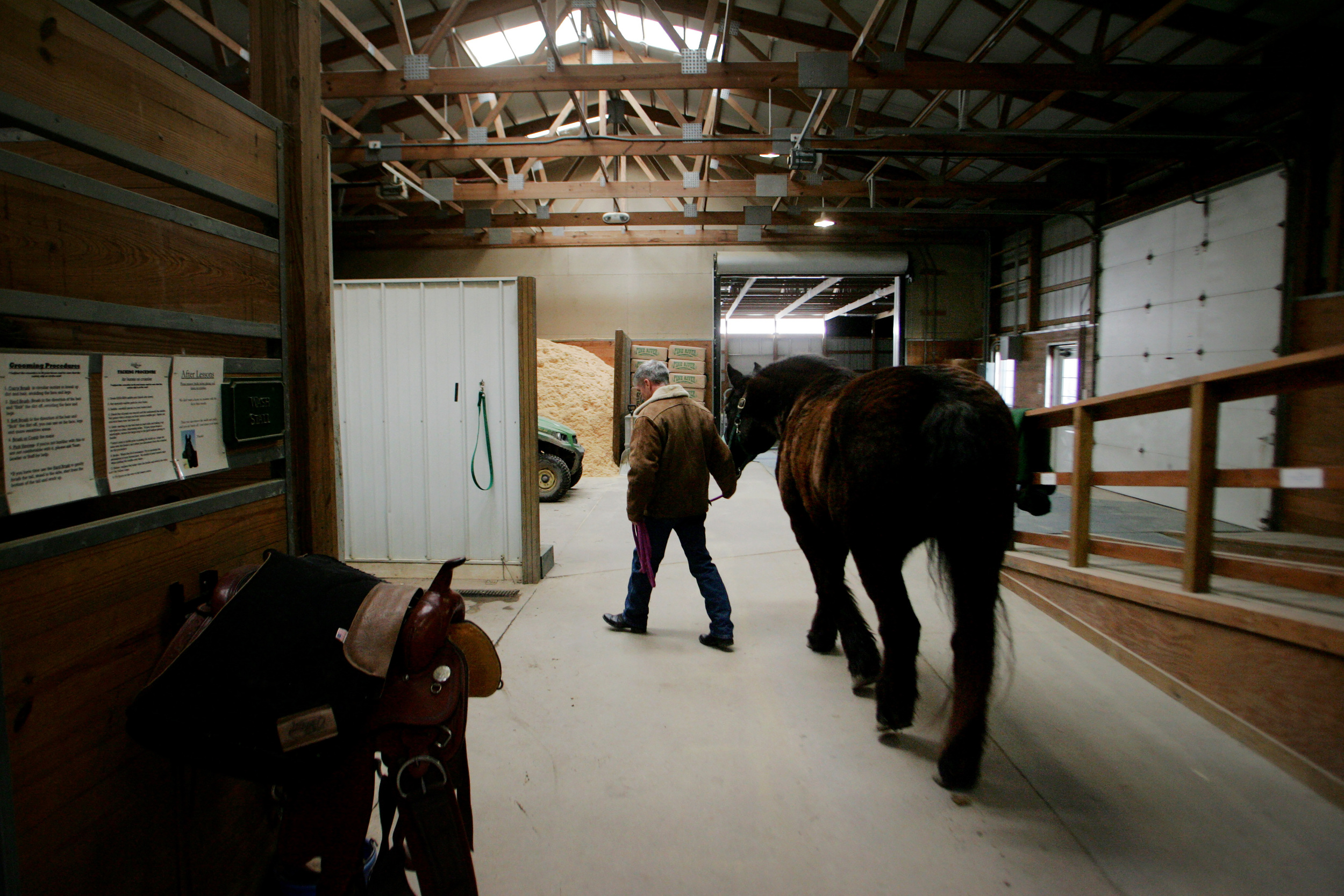 Chris leads Jack to where he'll be brushed and then saddled, Saturday, Jan. 31, 2015.