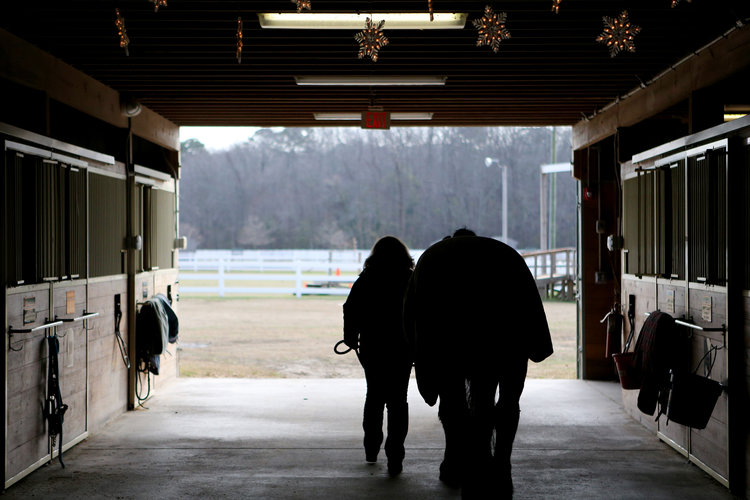 Susan Watkins walks "Sadie" out of the EquiKids barn one last time, Tuesday, Dec. 20, 2016 in Virginia Beach. "Sadie" is retiring after an impressive career of public service including the towing of caskets for fallen soldiers at Arlington National Cemetery as well as serving on the Virginia Beach Police force before going on to help veterans at a therapeutic riding center. She'll retire with the officer for whom she patrolled with.