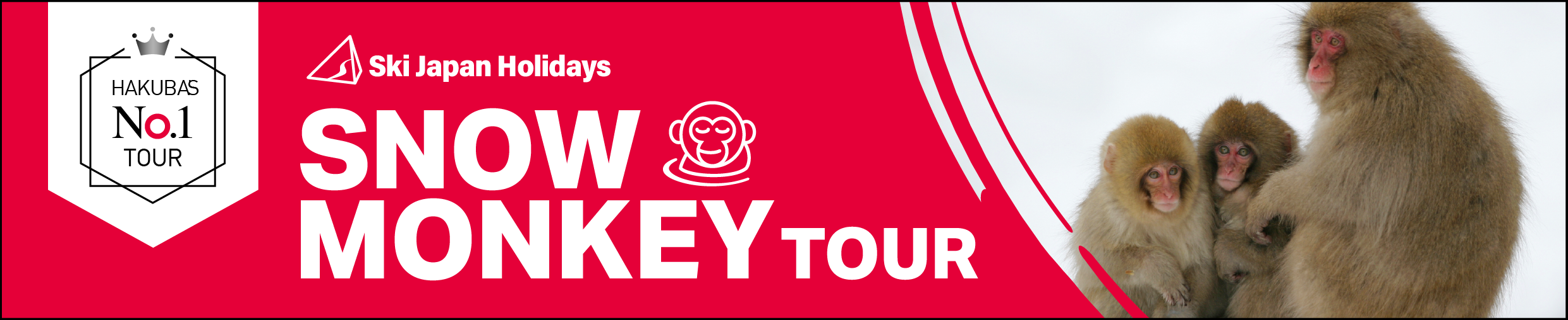 Ski Japan Holidays Snow Monkey Tour banner featuring a family of Japanese snow monkeys.