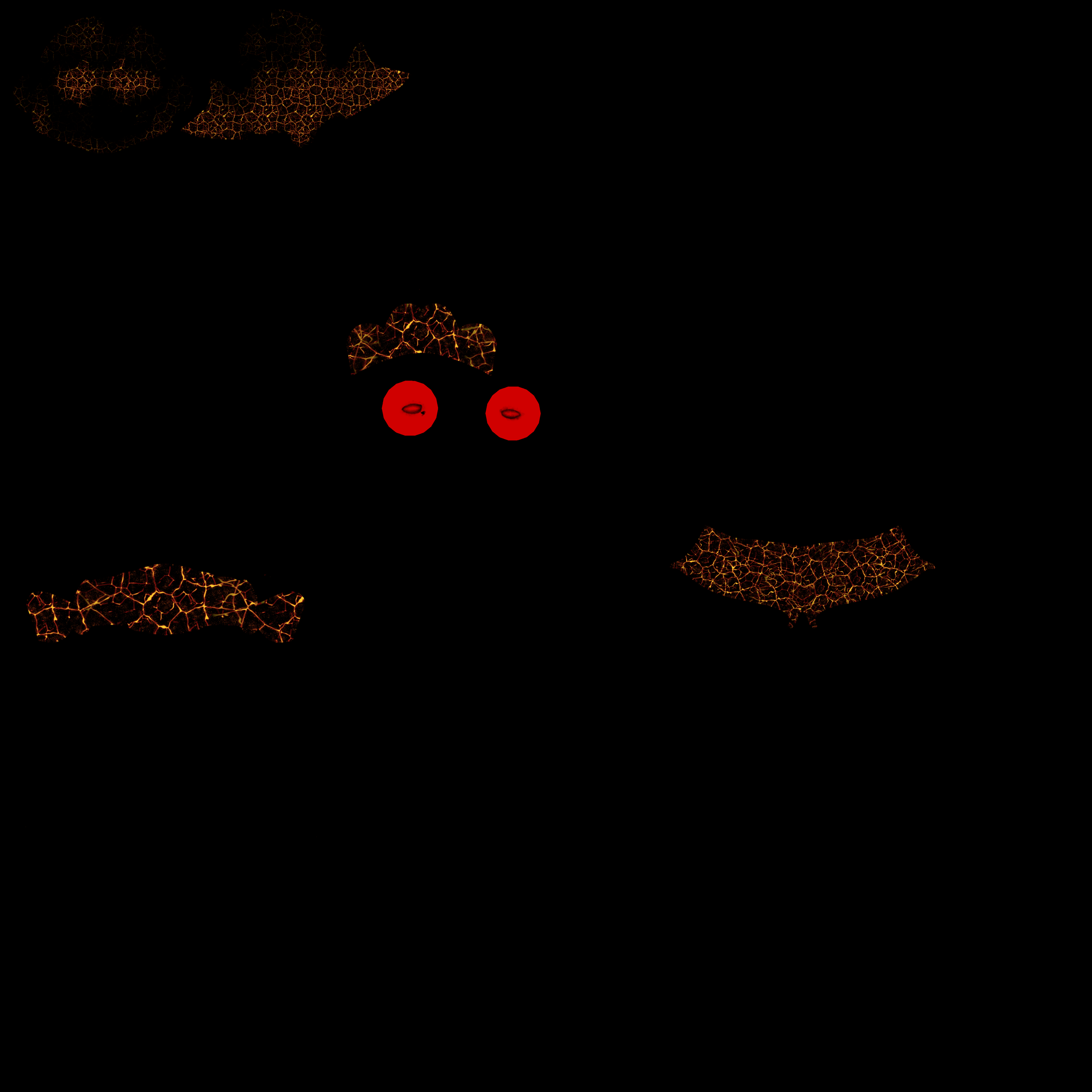 ShadowKnight_initialShadingGroup_Emissive.png