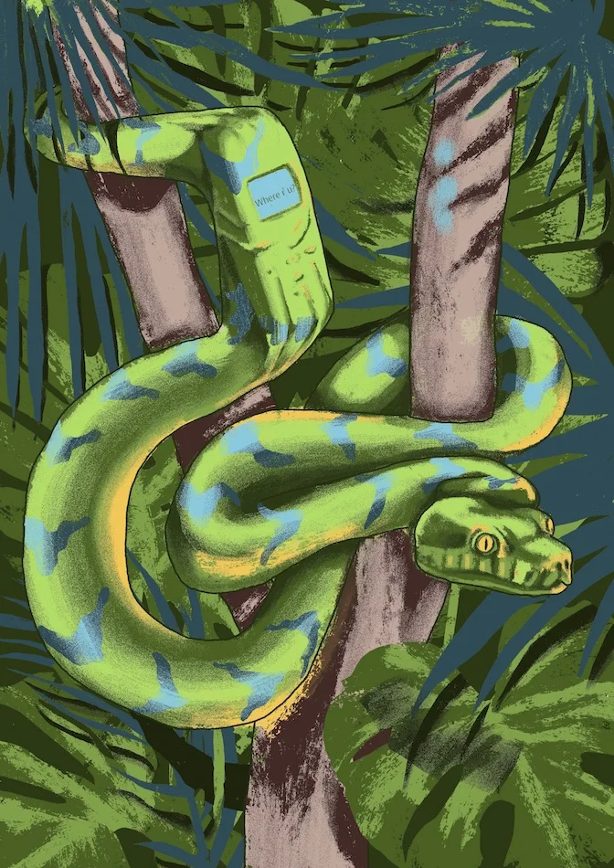 Snake vs Nokia