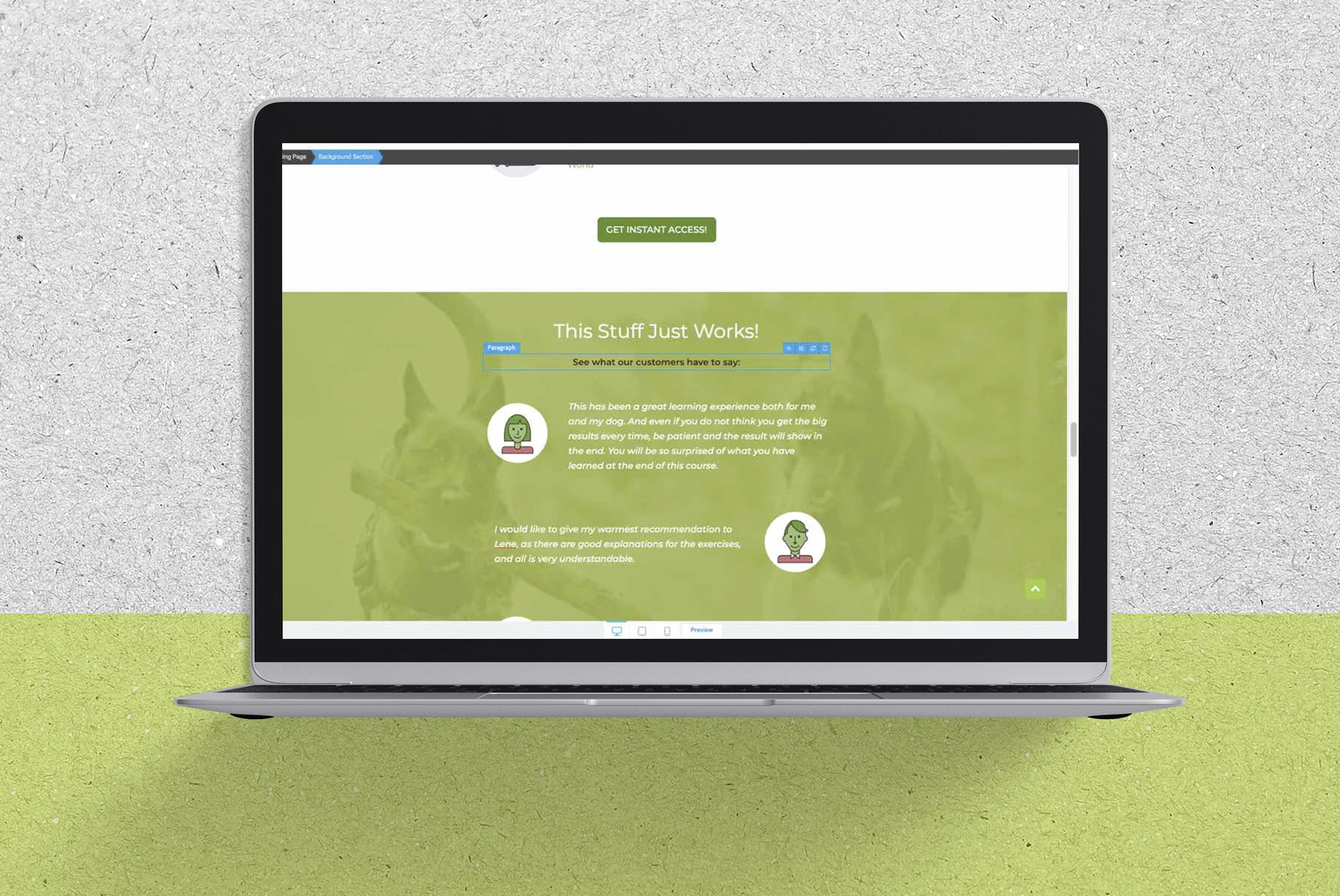 Copy of Kaufmann website