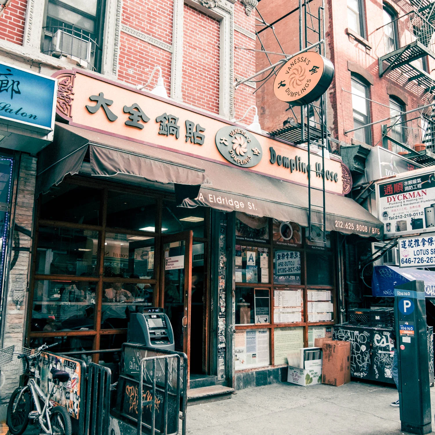 Vanessa's Dumplings