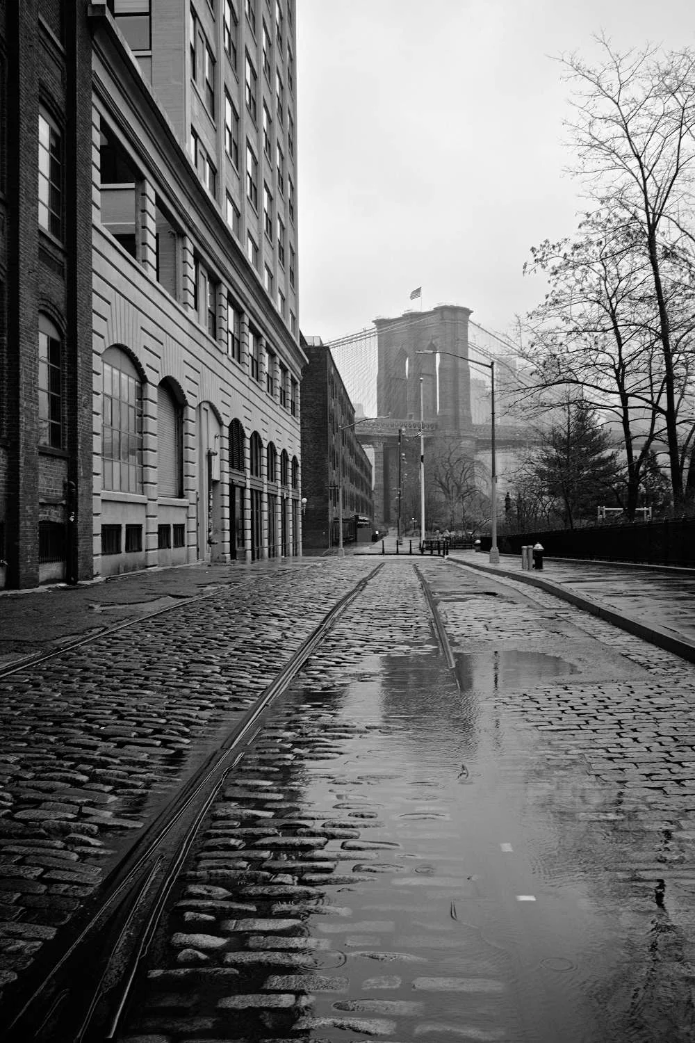 Dumbo Rainy Day