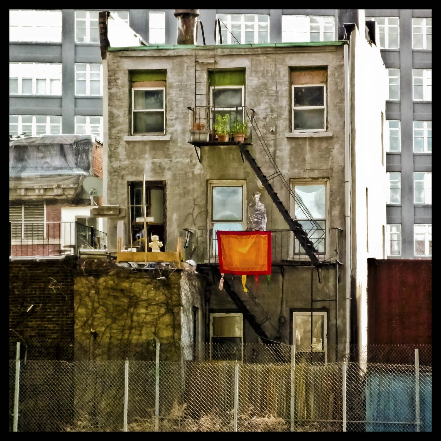 backyard Williamsburg.jpg