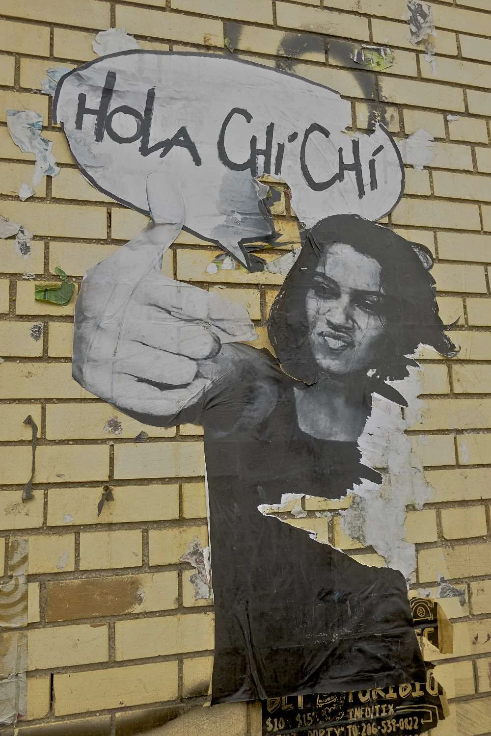 Hola Chi Chi