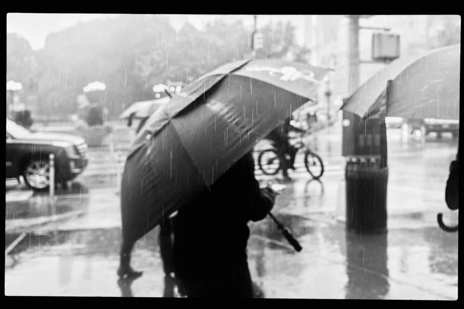 Walking in the Rain (Copy)
