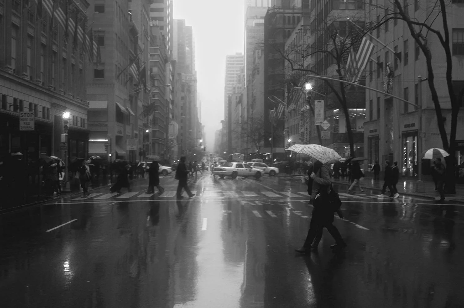 Raining on Fifth Avenue