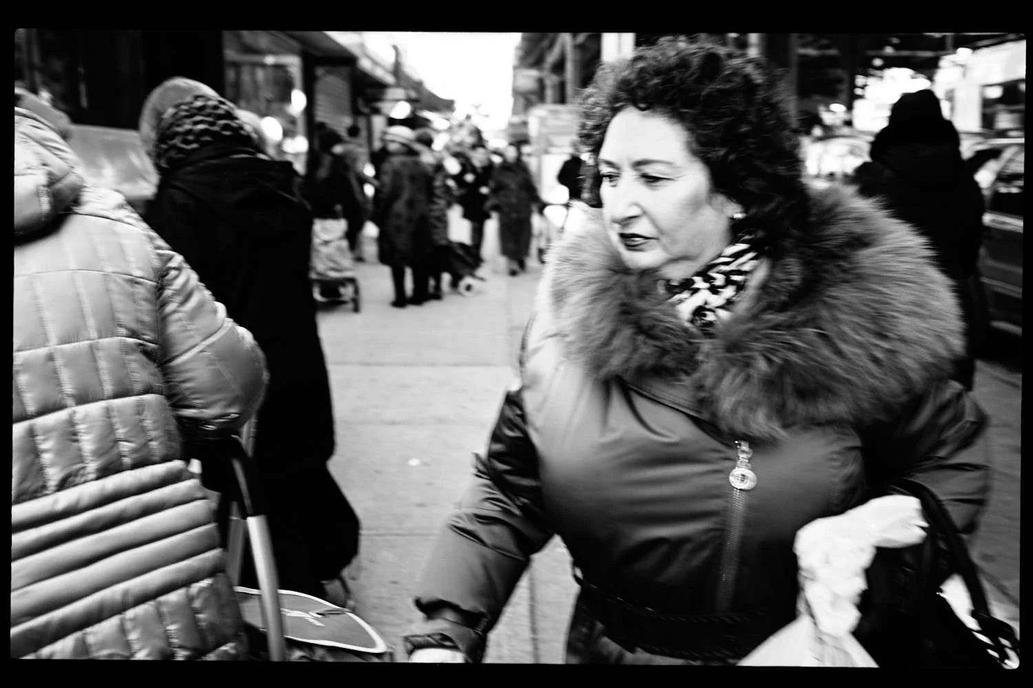 Fur Season (Copy)