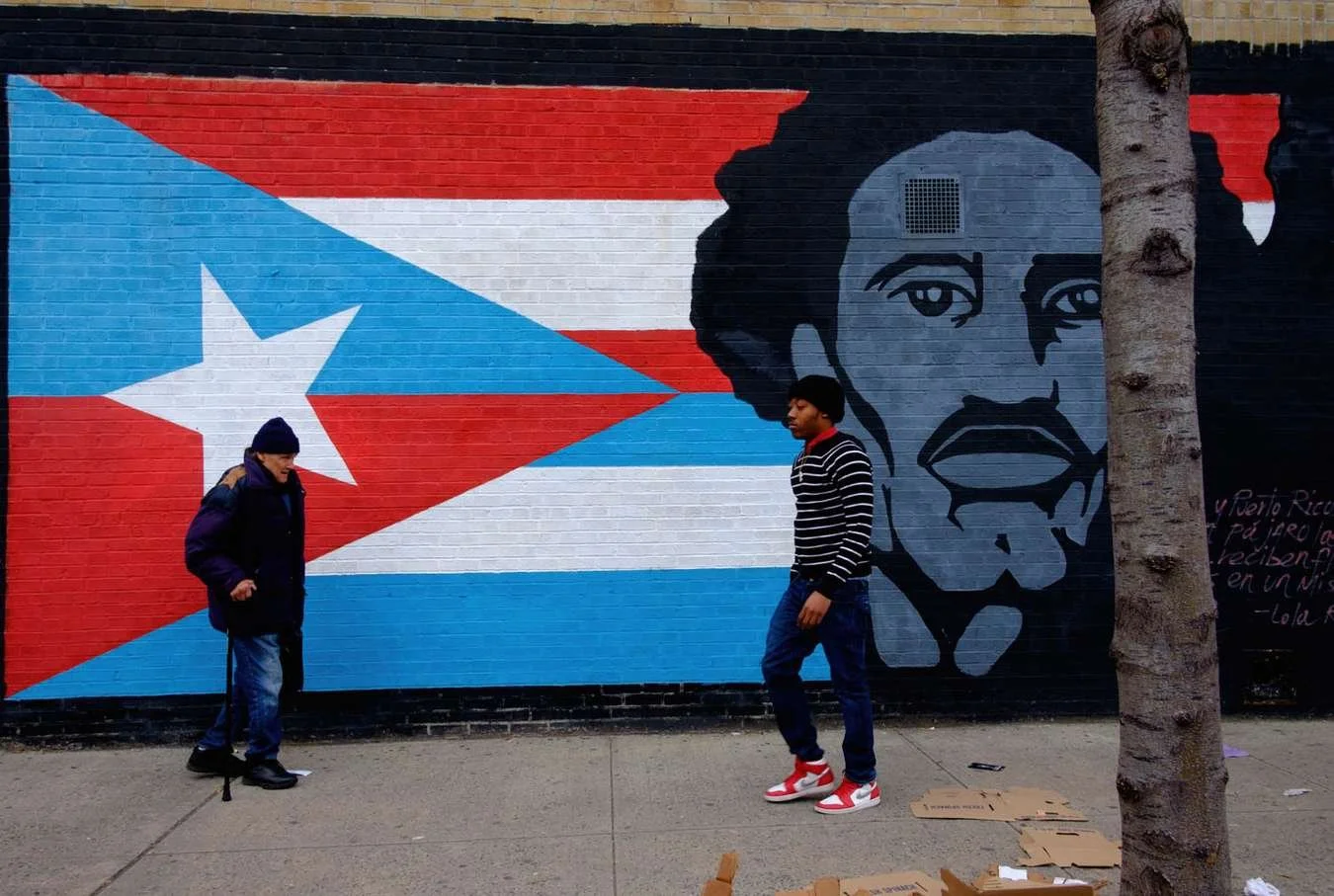 Albizu (Copy)