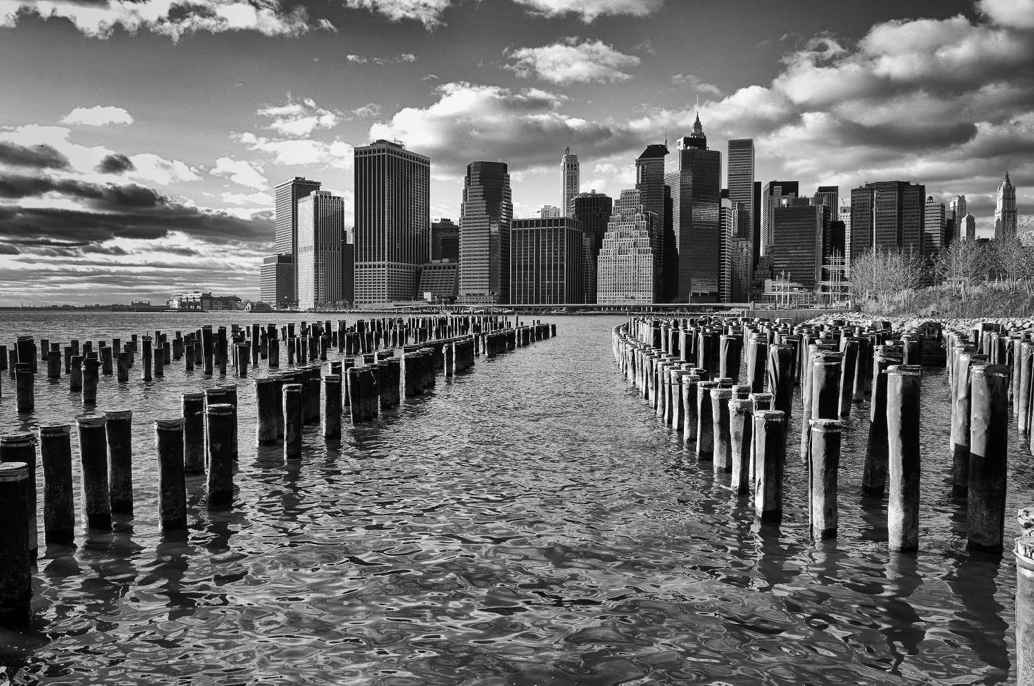Photography in NYC