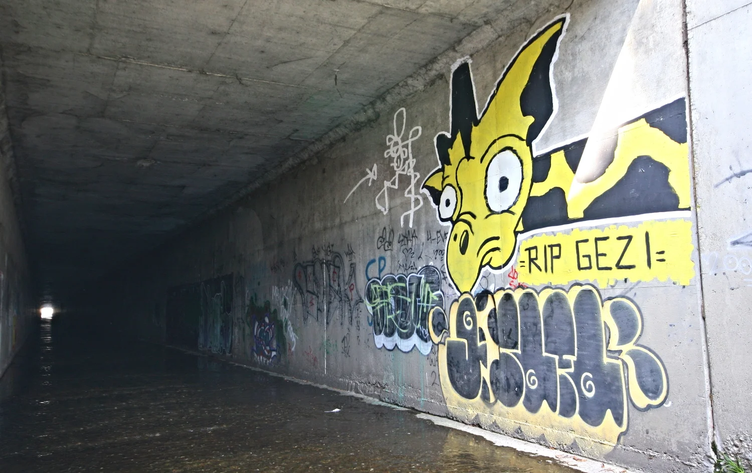 3398780377_2da6e7f528_o.jpg