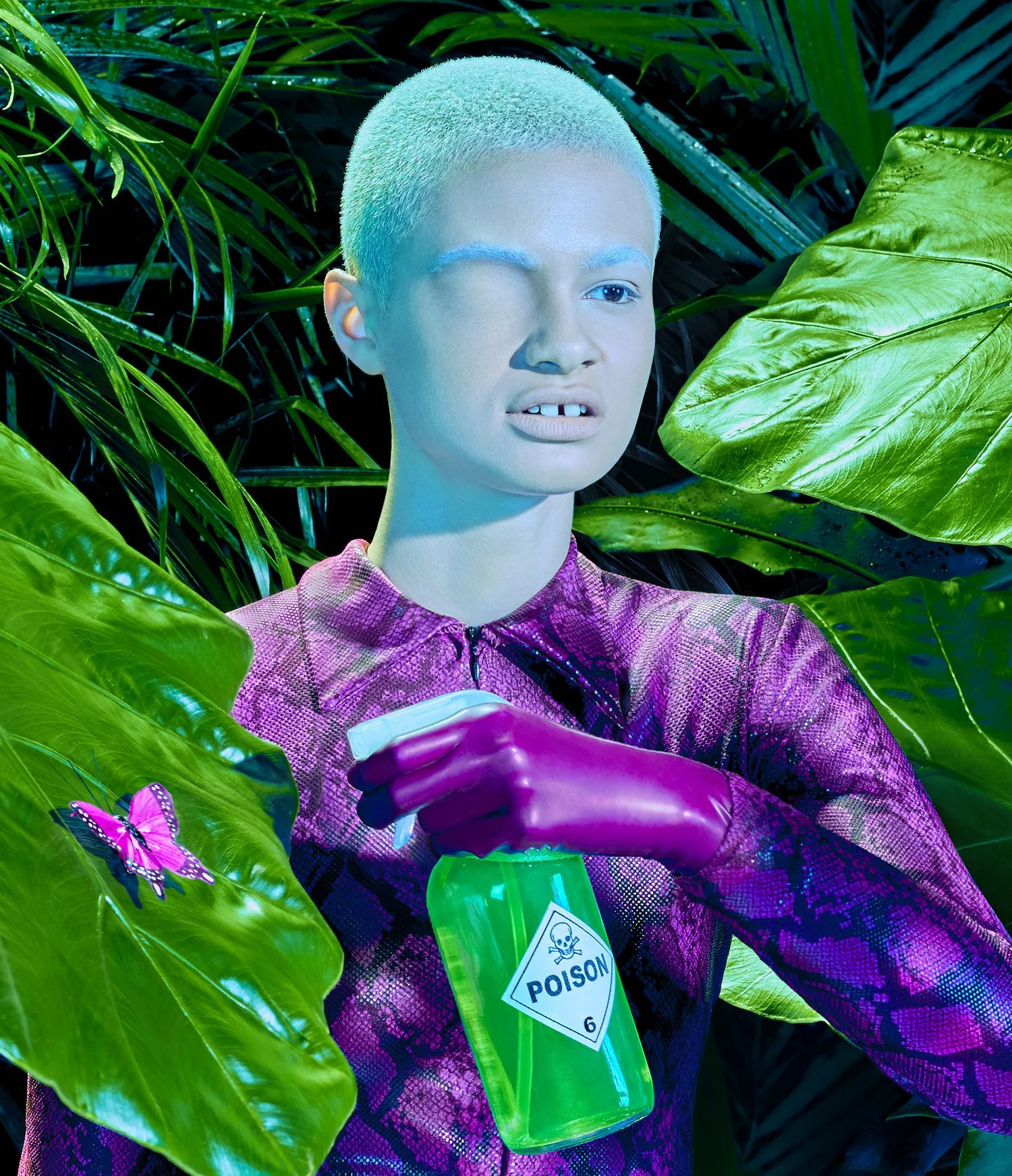seshhtrt.jpg