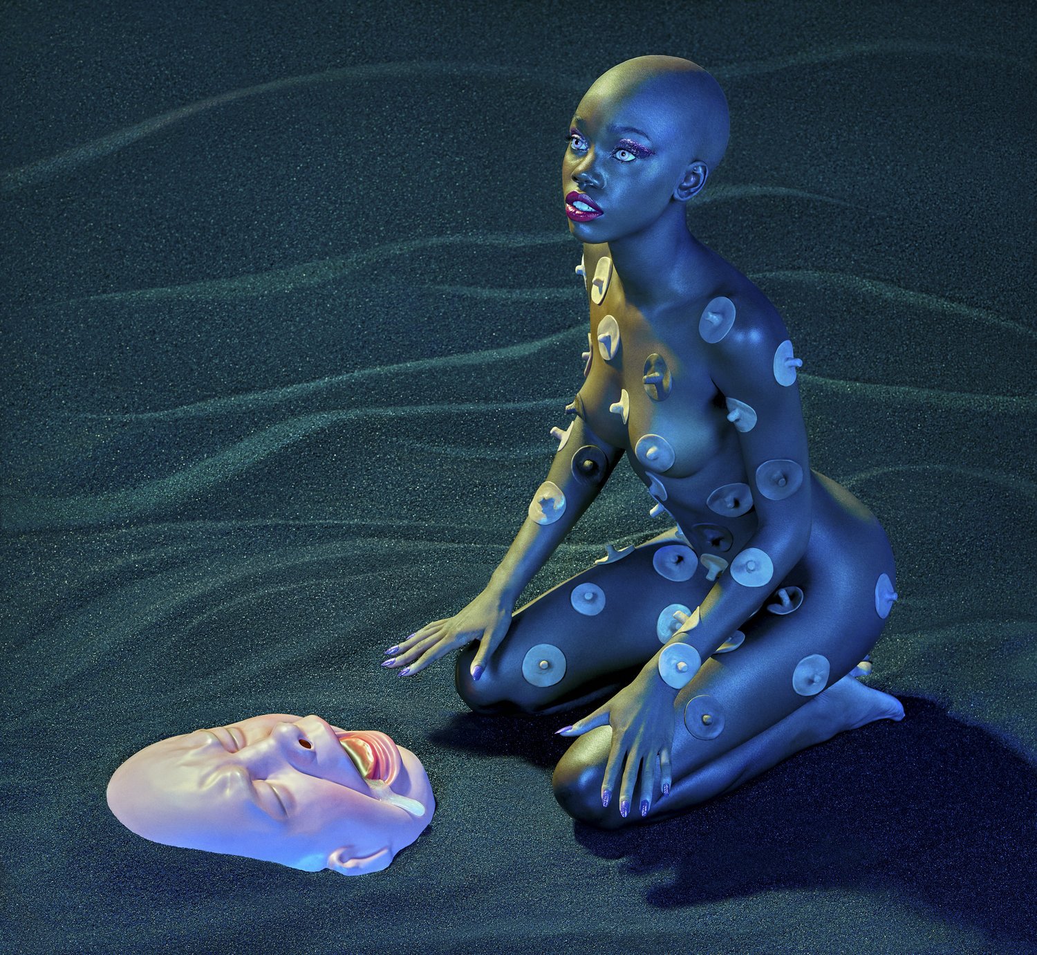 venus+beach-6.jpg