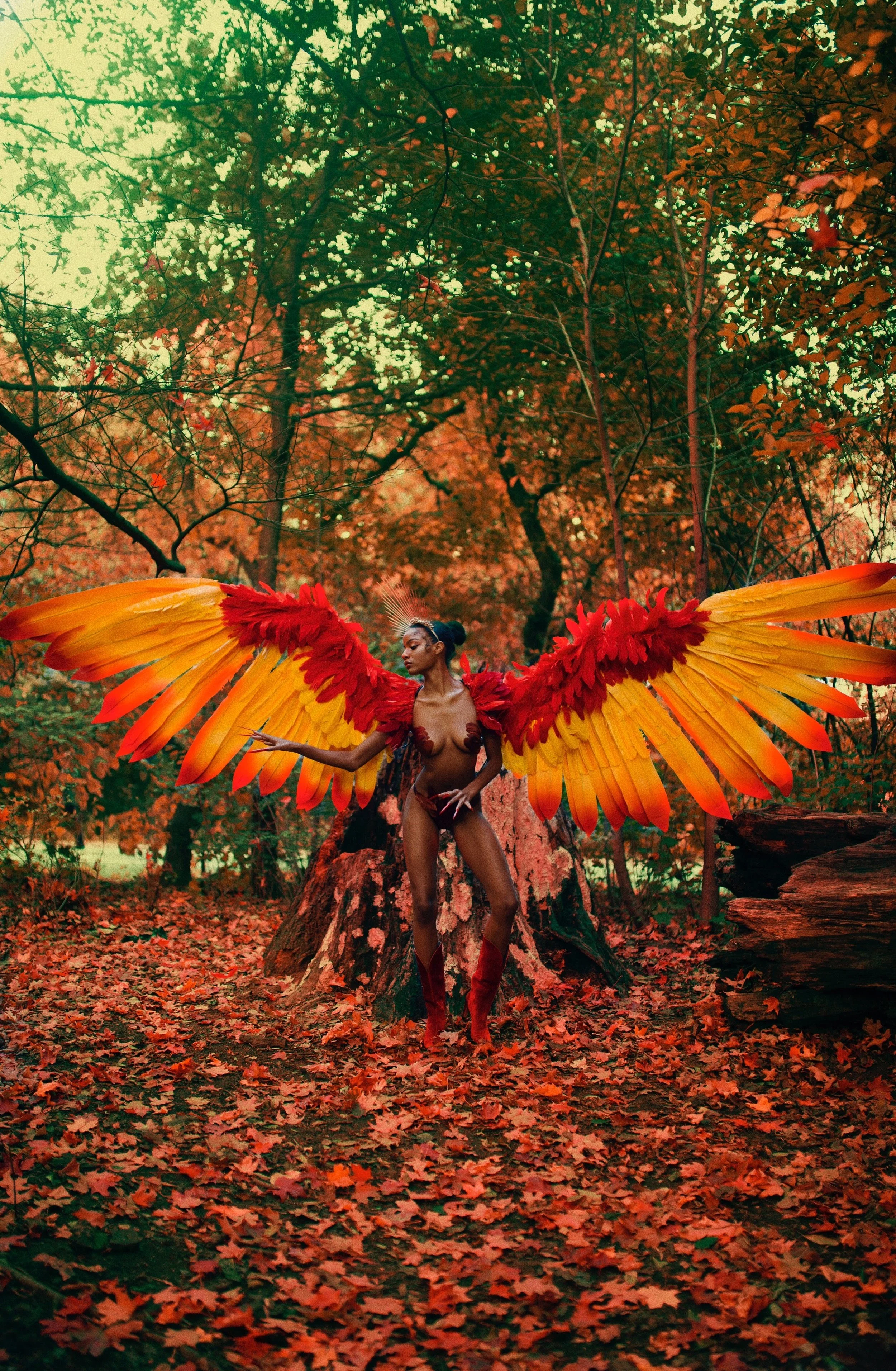 ebonee phoenix 2.JPG