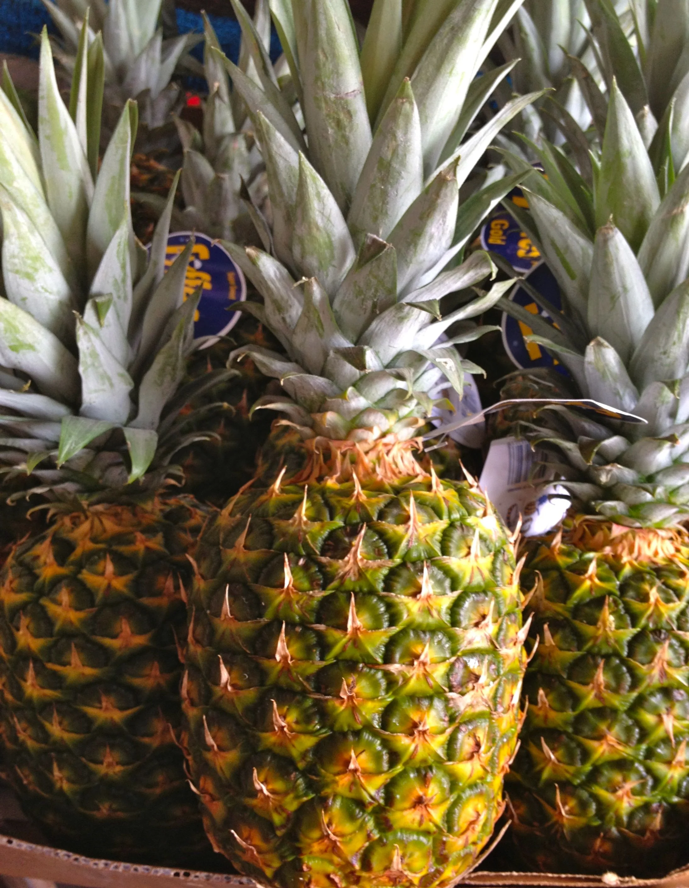 Real Food Challenge- Day 25