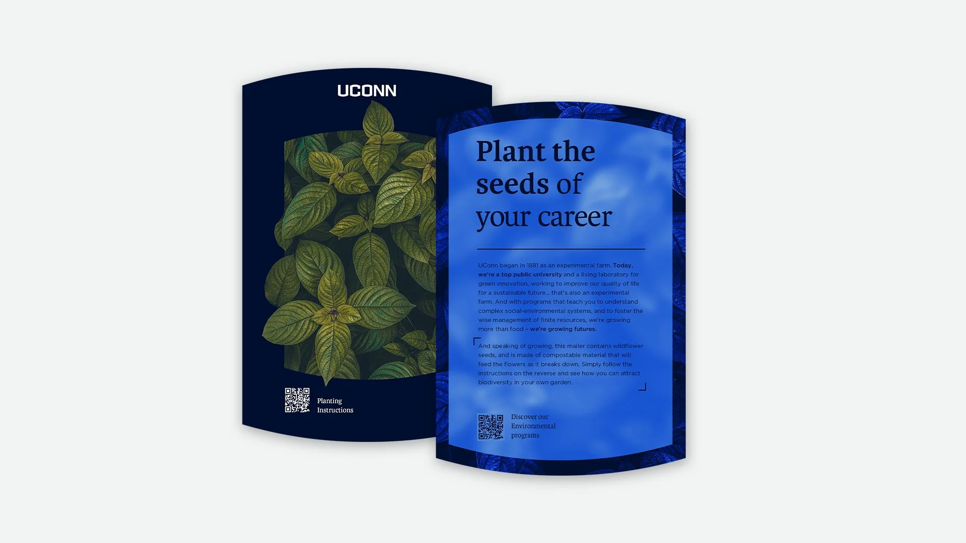 card-plants.jpg