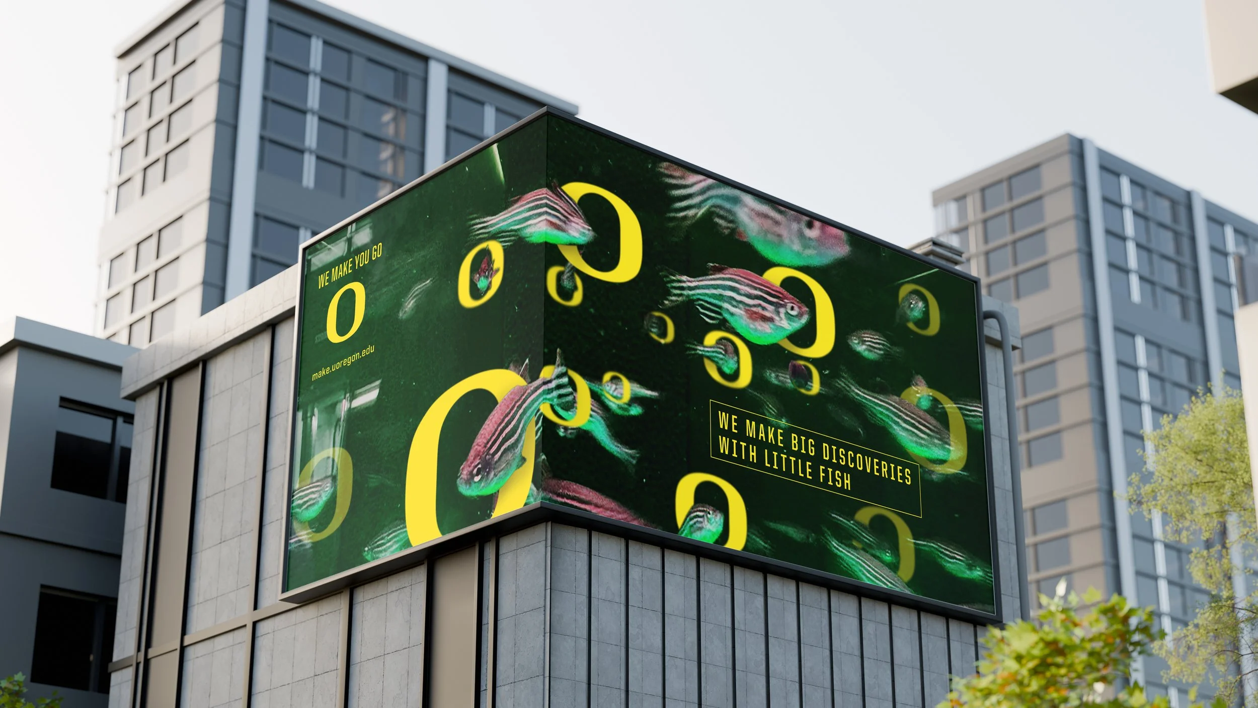 O-Zebrafish-Building-Signage.jpg