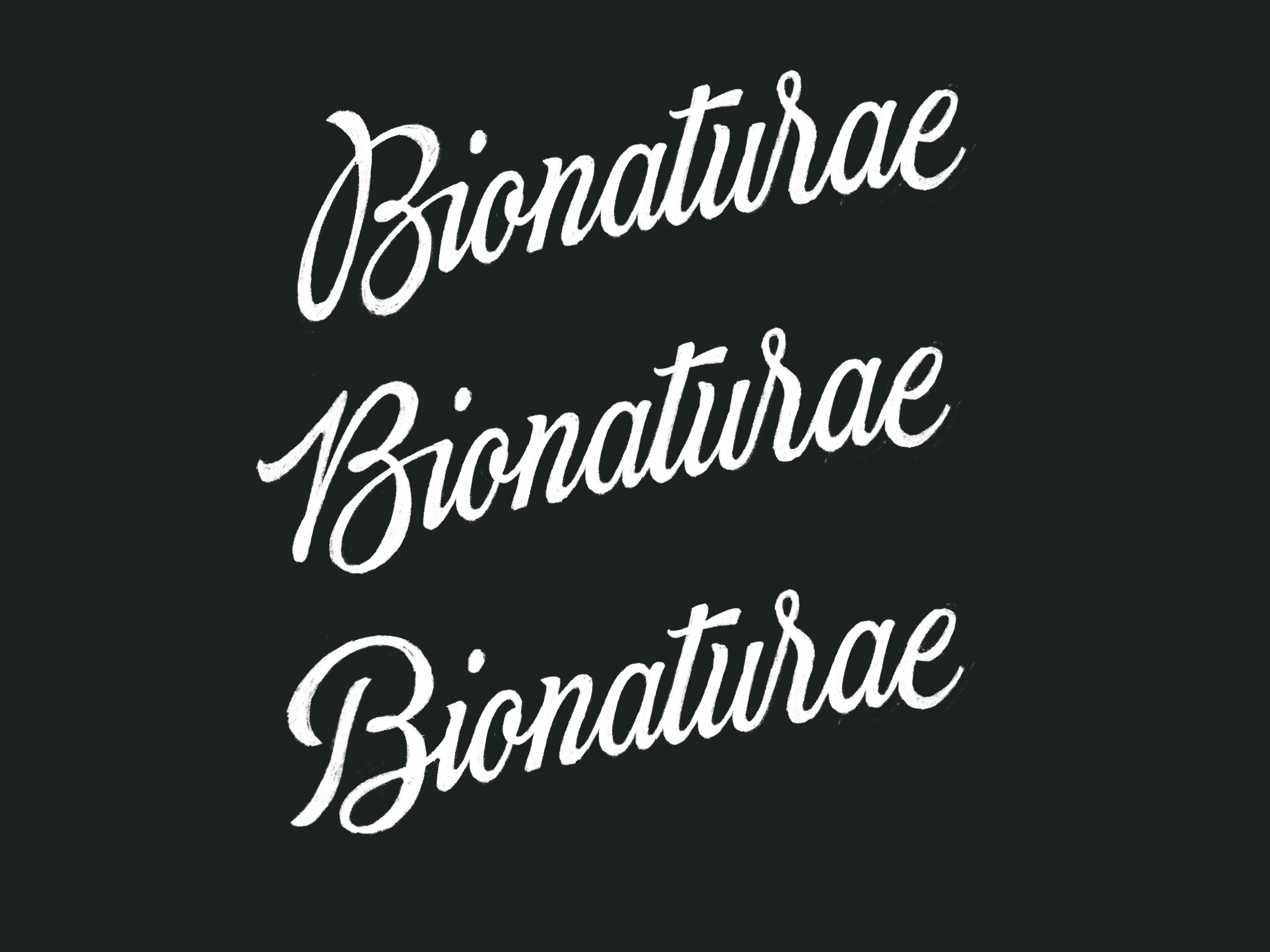 Untitled_Artwork 89.jpg