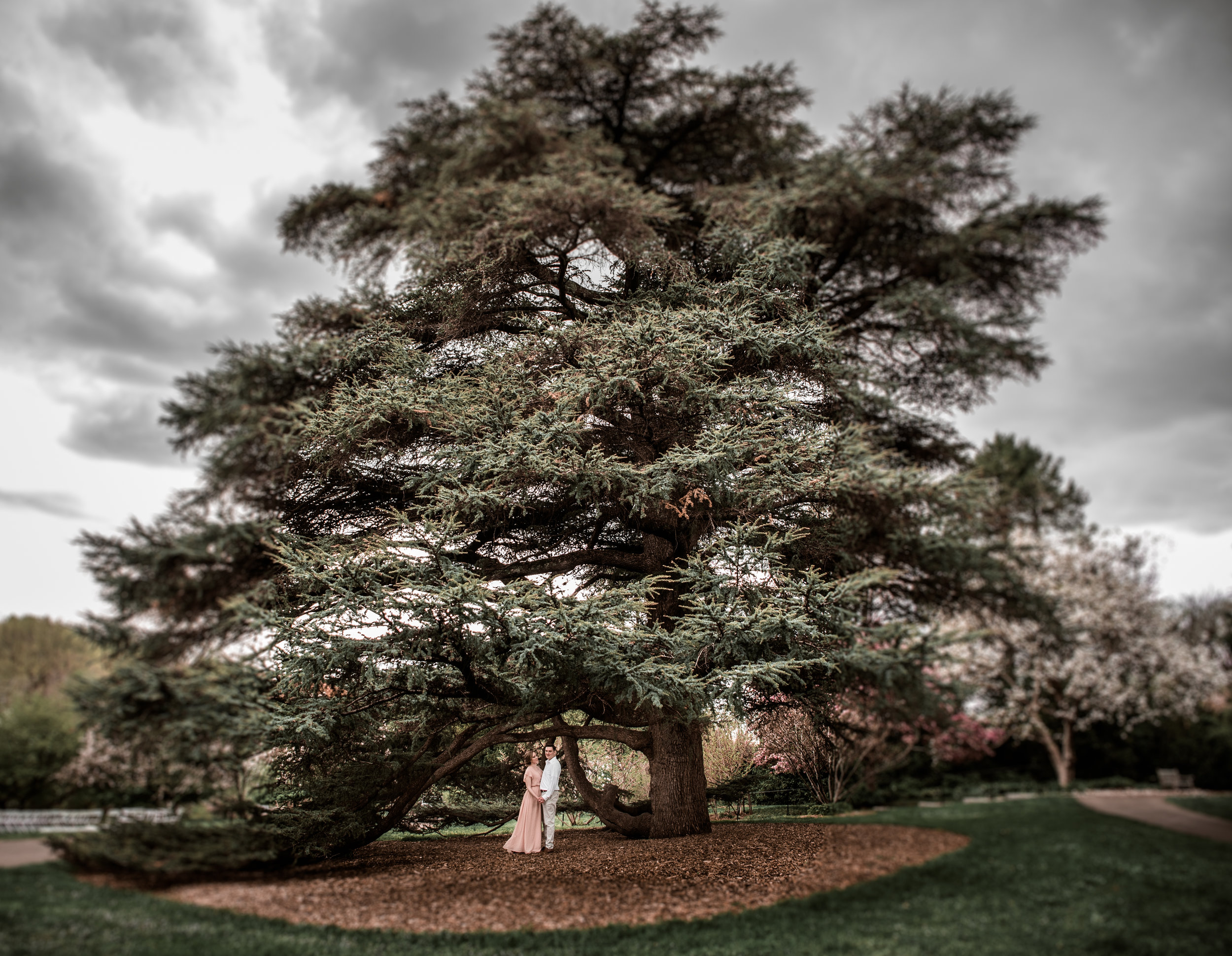 DS1_0838.jpg
