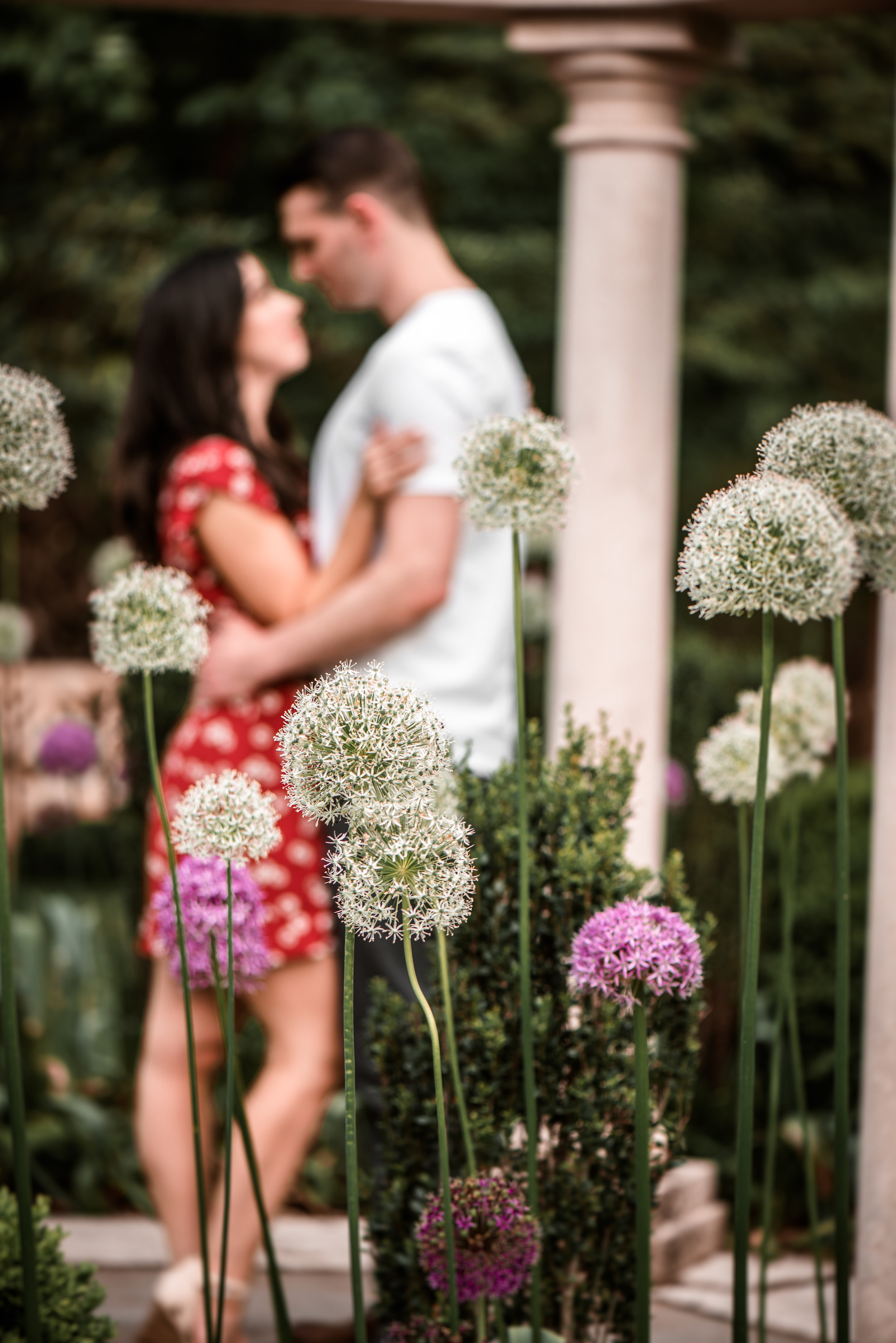 DS1_5385-Edit.jpg