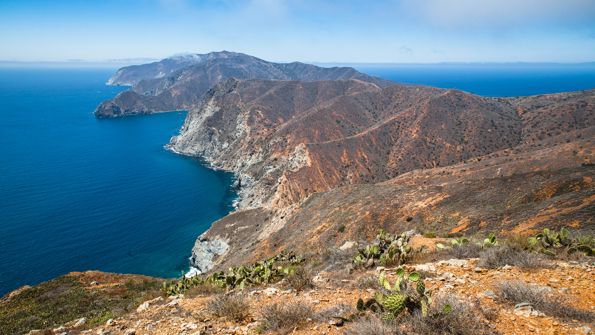 image_0010.jpg