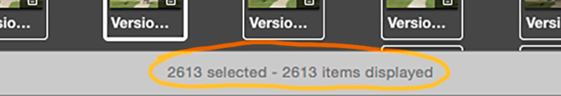 Command ⌘+A to ensure you select all images in your smart album.