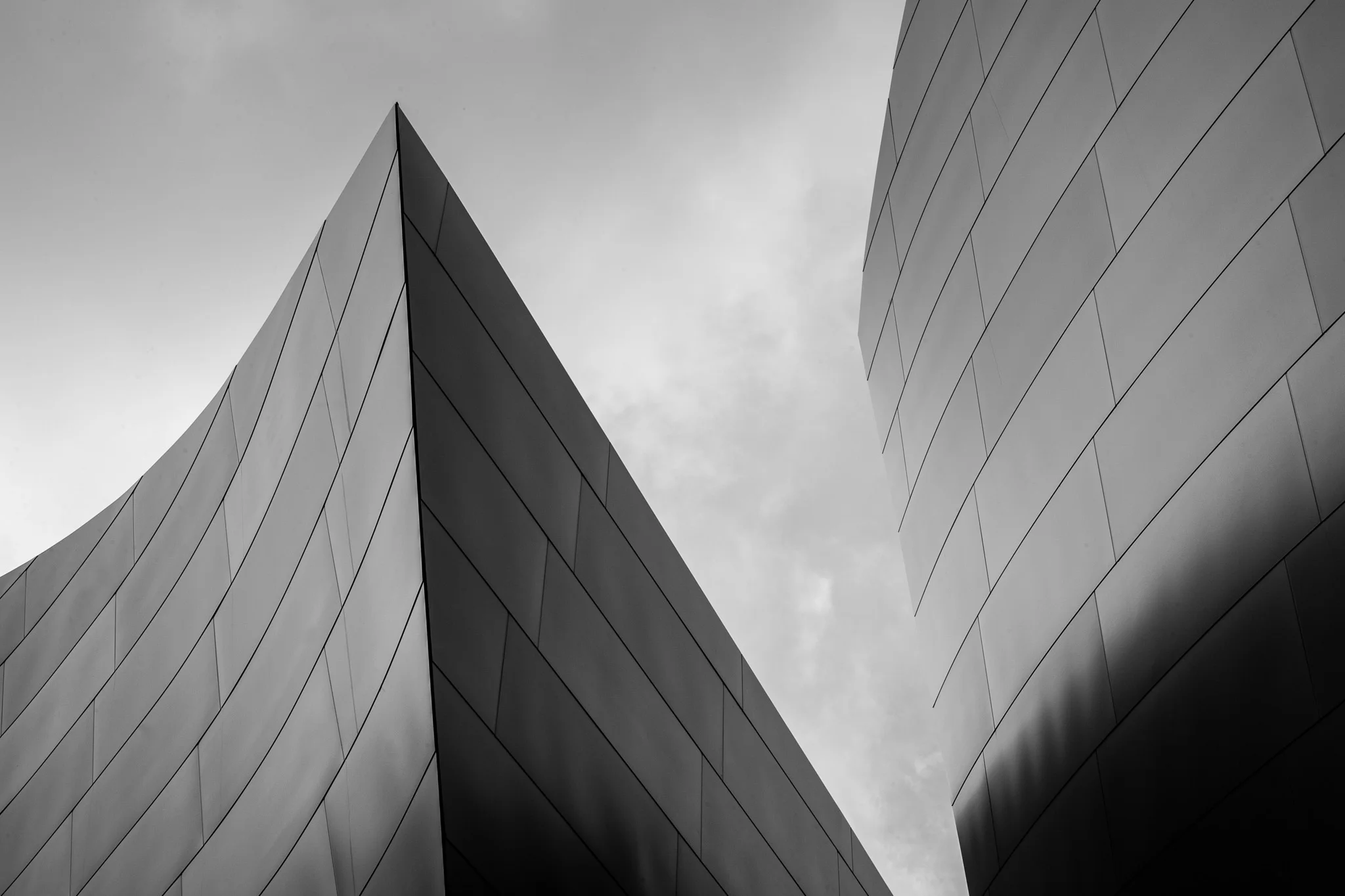 20080106-_MG_2084.jpg