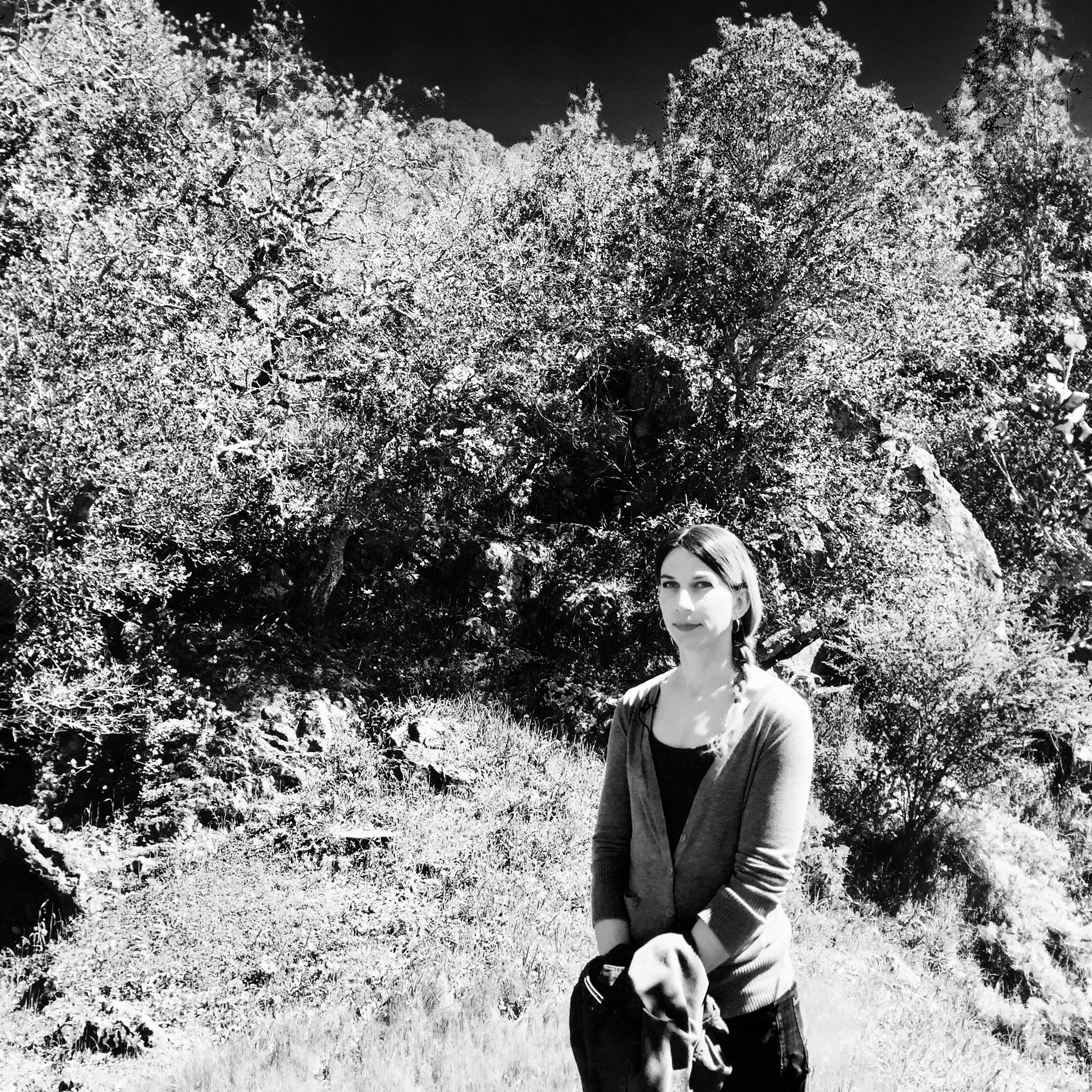 Satya Inayat Khan at Pir Dahan. Photo by Netanel Miles-Yépez.
