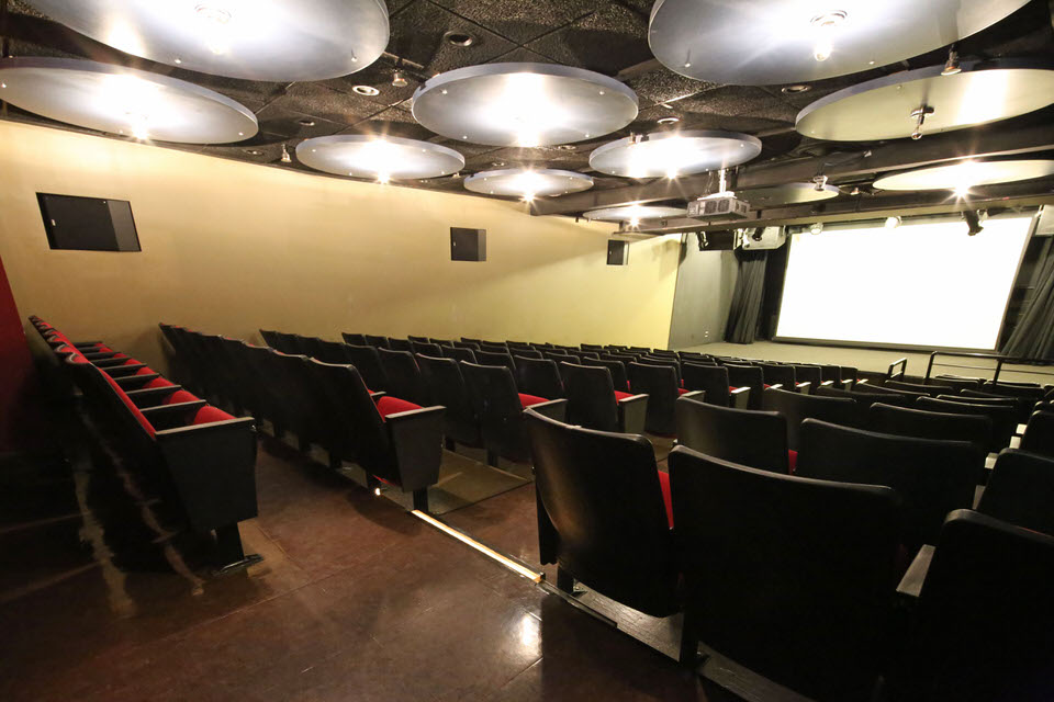 Theater and Screening Room