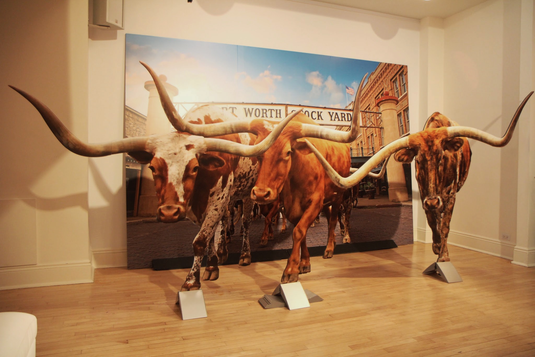 Fort Worth stock yards with longhorns