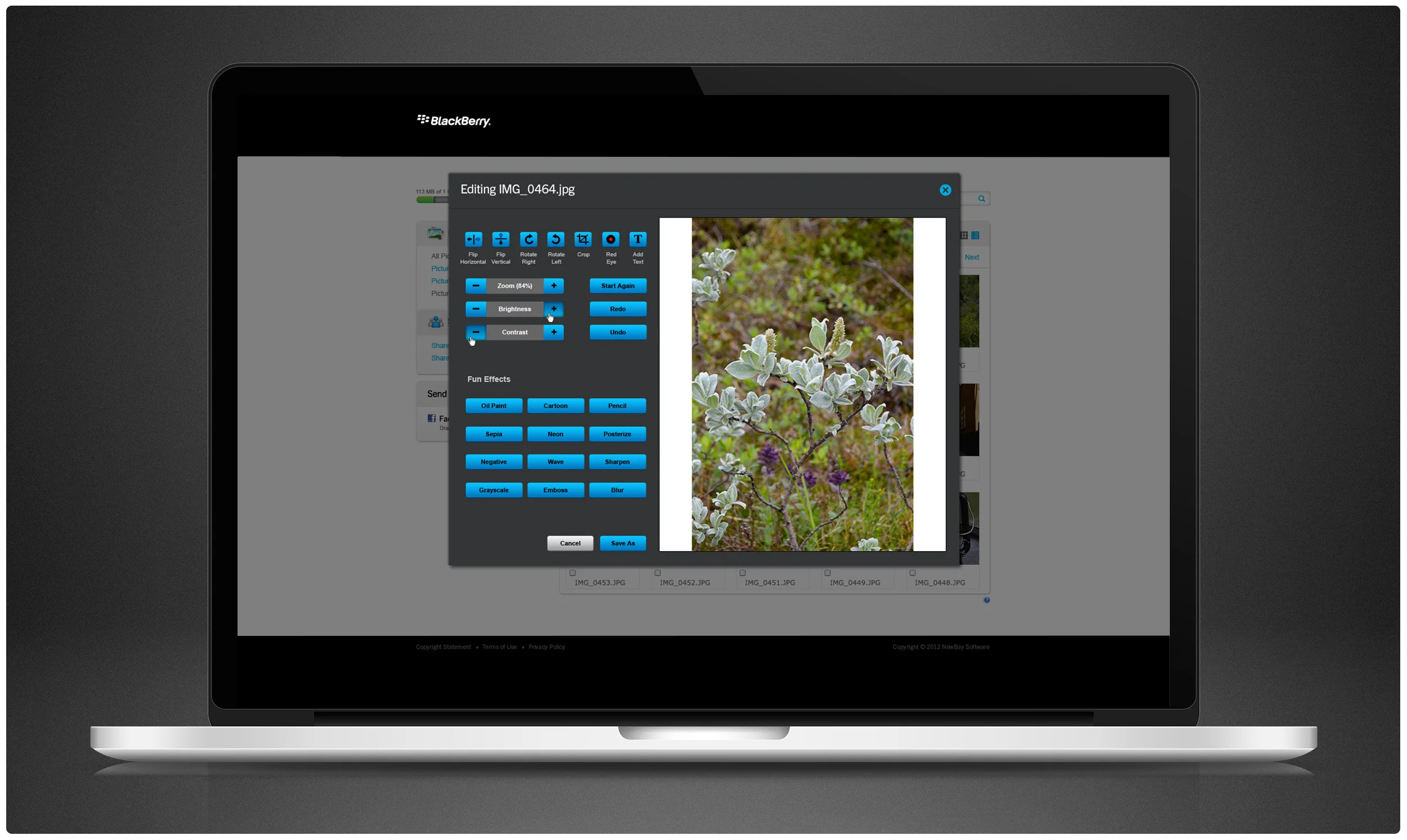 blackberry_newbay_example_14.jpg