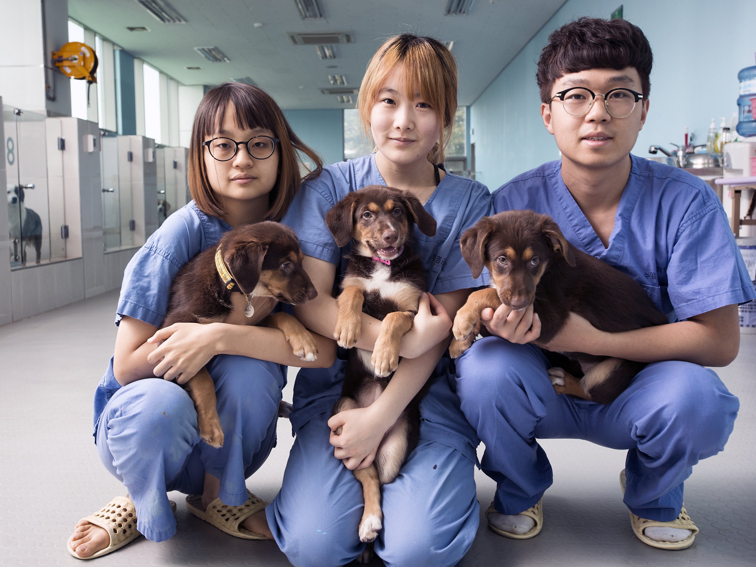  Smithsonian.   Dog cloning clinic.  Seoul, South Korea. 