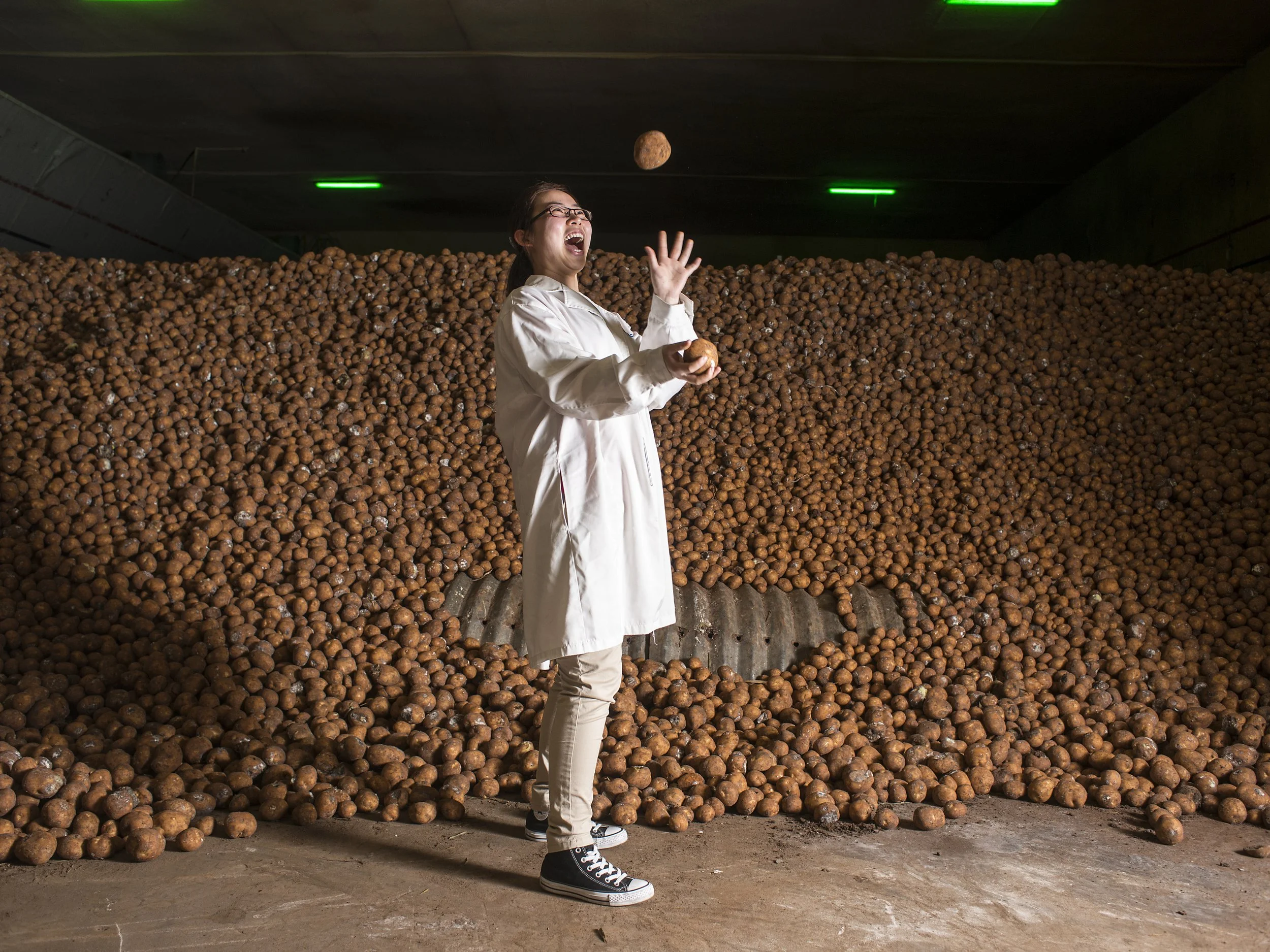  Pepsico/Frito-Lay.   Potato warehouse.  Shanghai, China 
