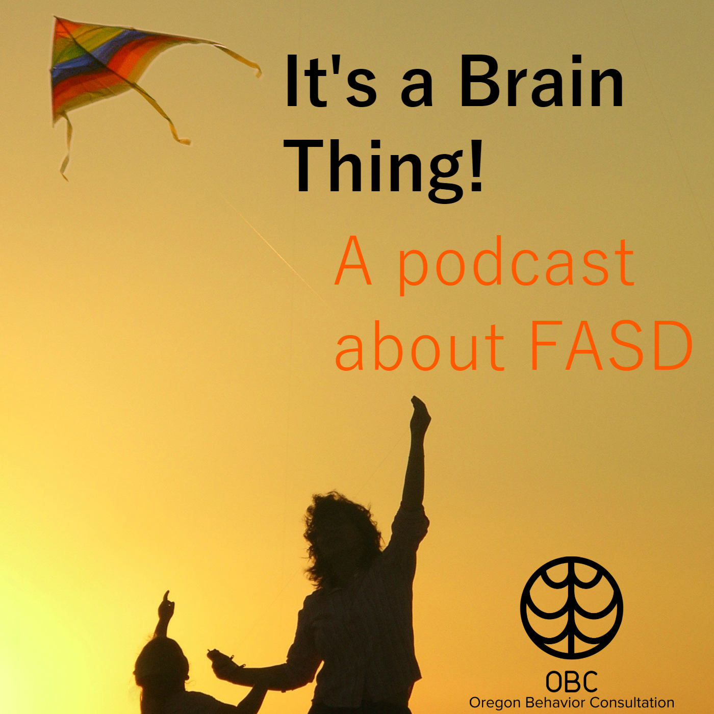 Episode 12: Lying and Sort-Of Lying thumbnail