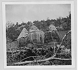 native-american-acorn-storage